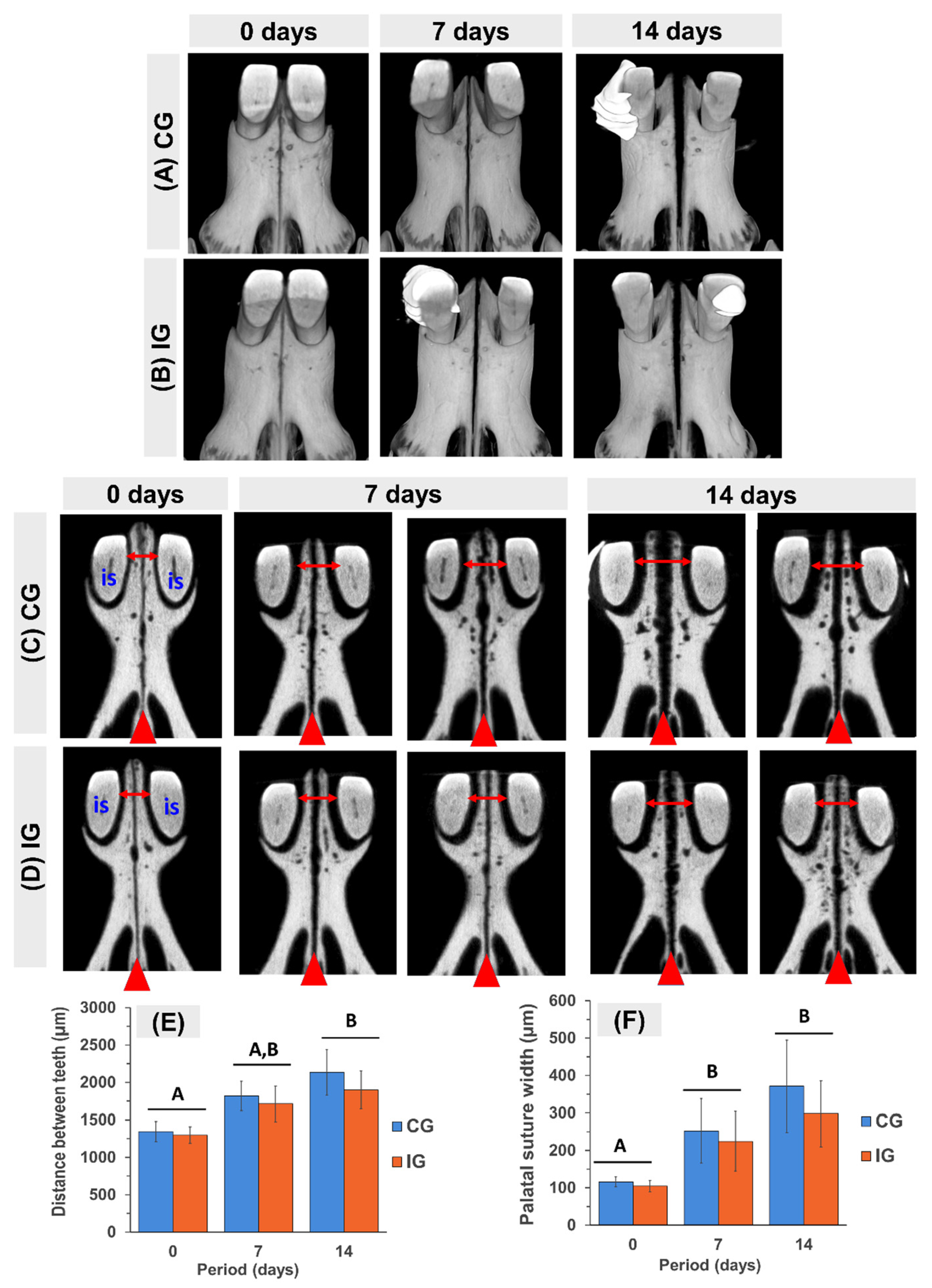 Dentistry 13 00142 g002