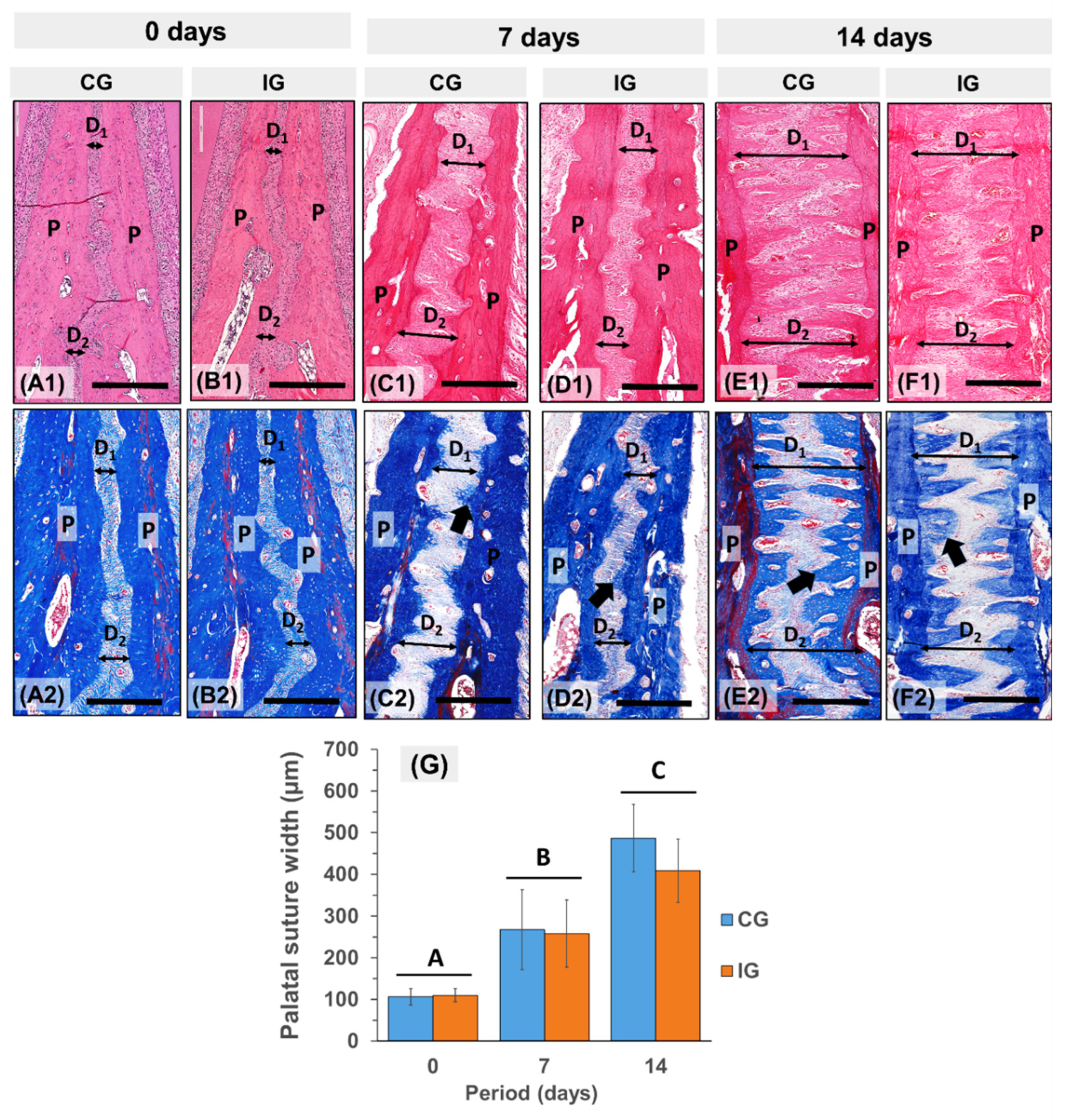 Dentistry 13 00142 g003