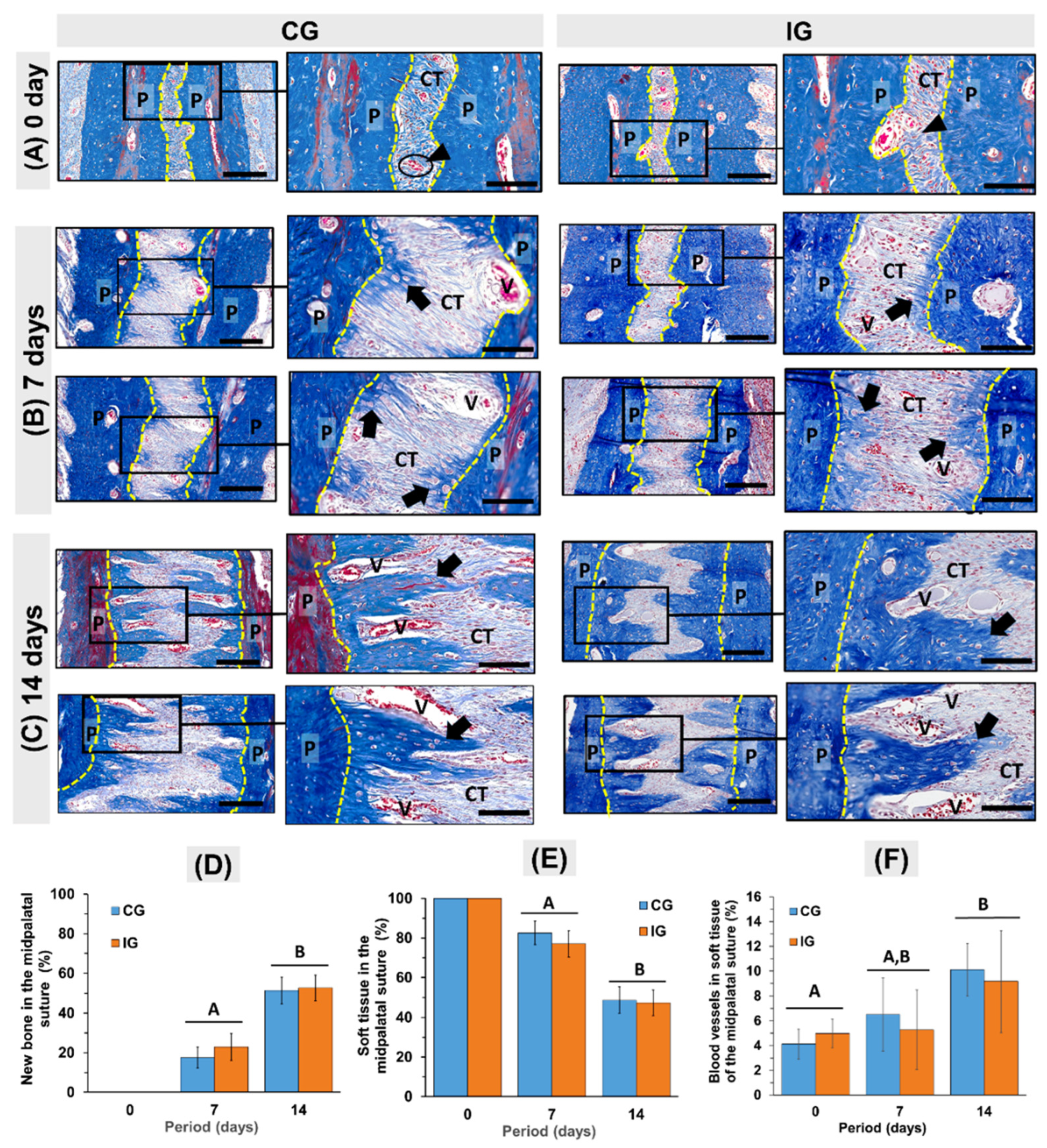 Dentistry 13 00142 g004