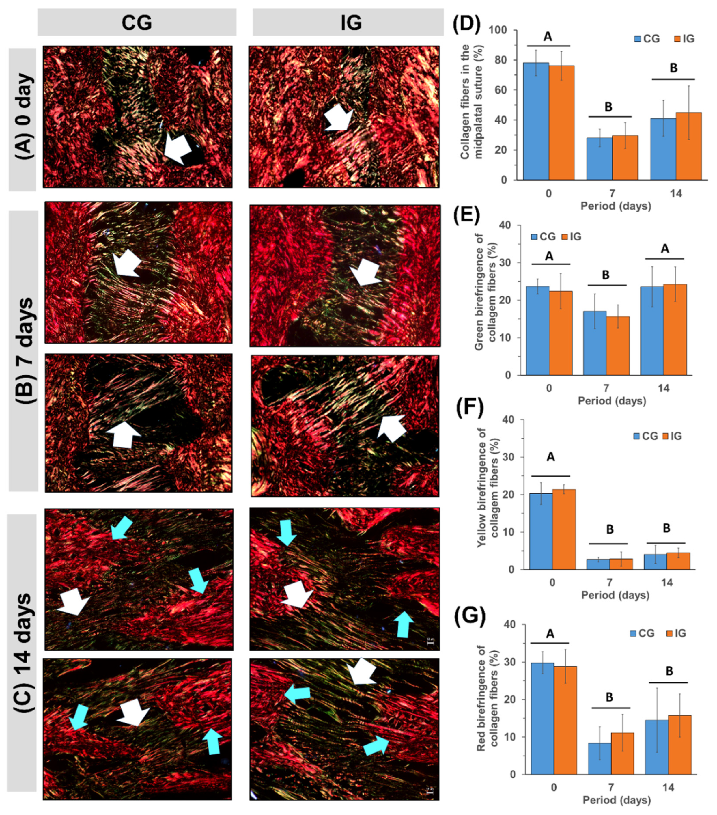 Dentistry 13 00142 g005