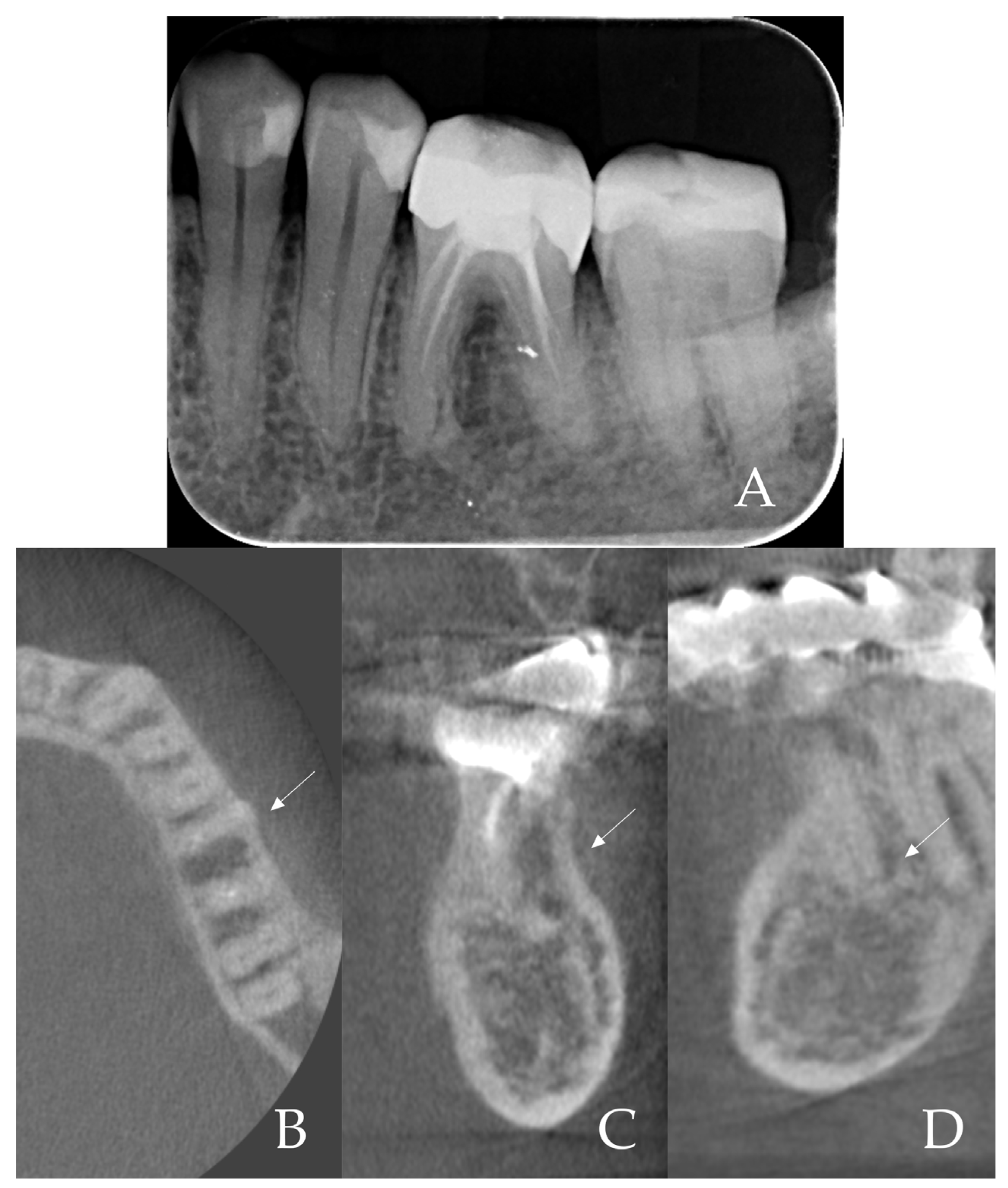 Dentistry 13 00145 g001