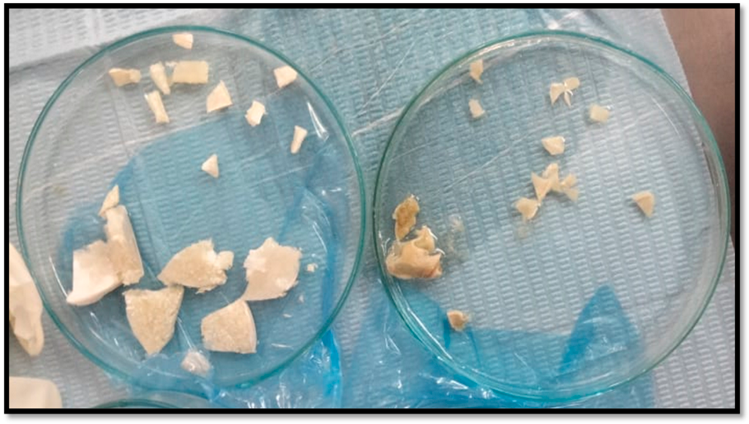 Dentistry 13 00153 g002