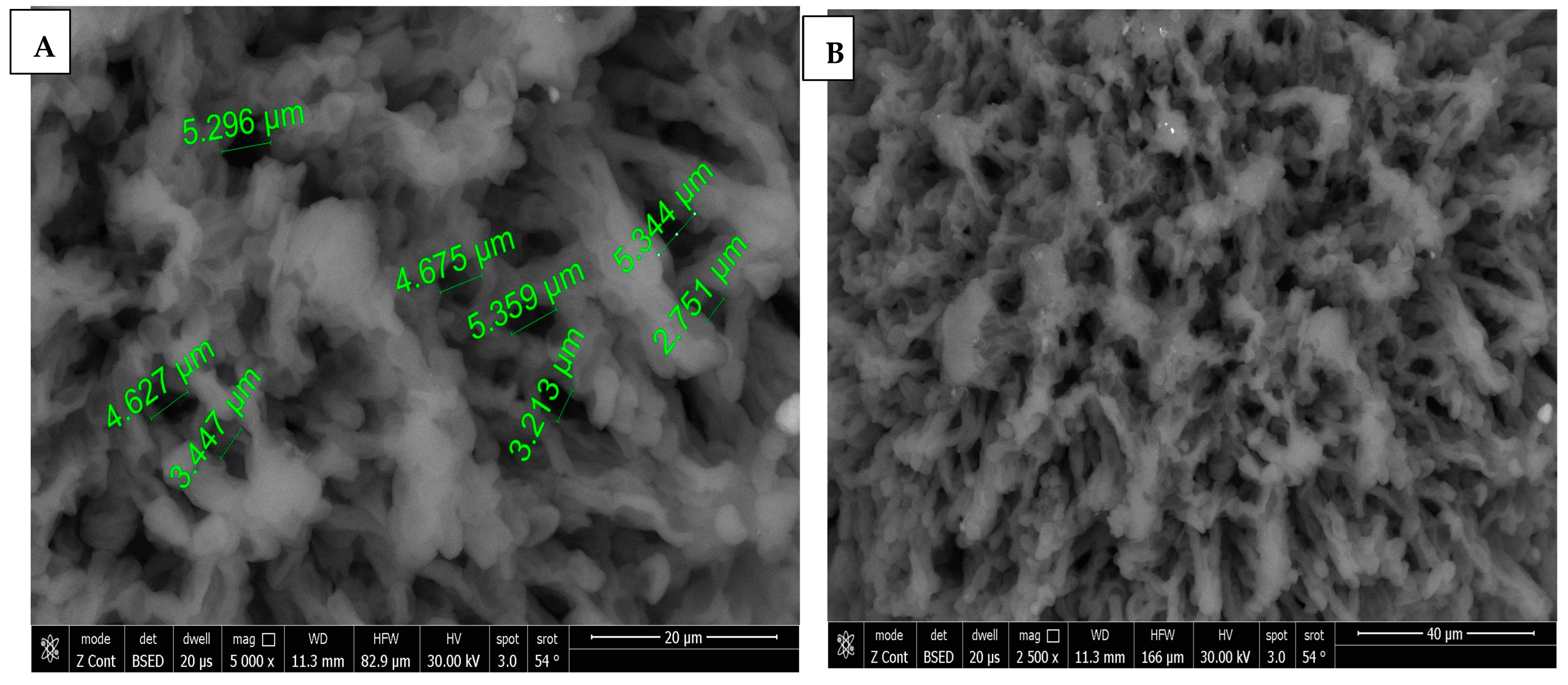 Dentistry 13 00153 g004a