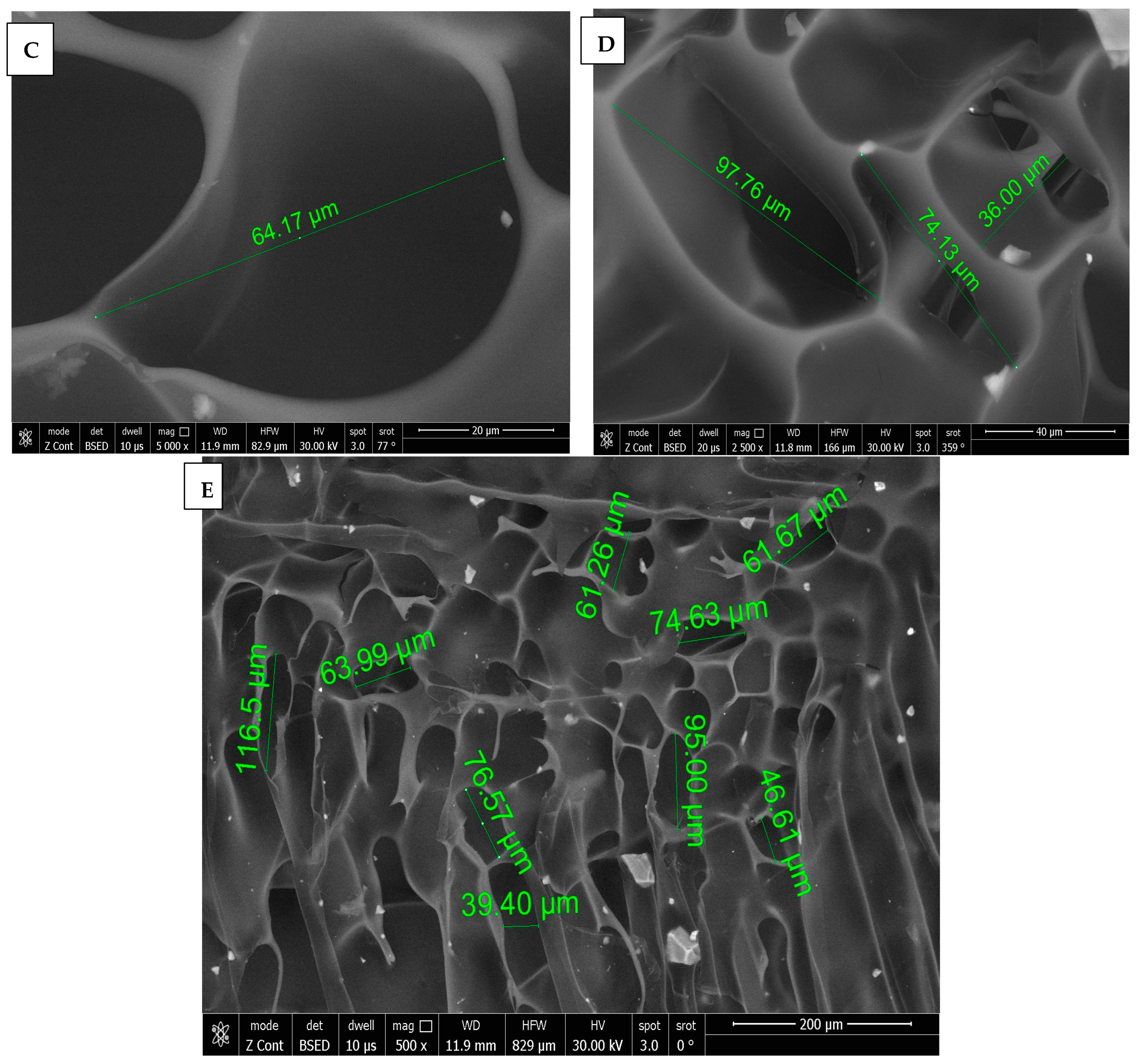 Dentistry 13 00153 g004b