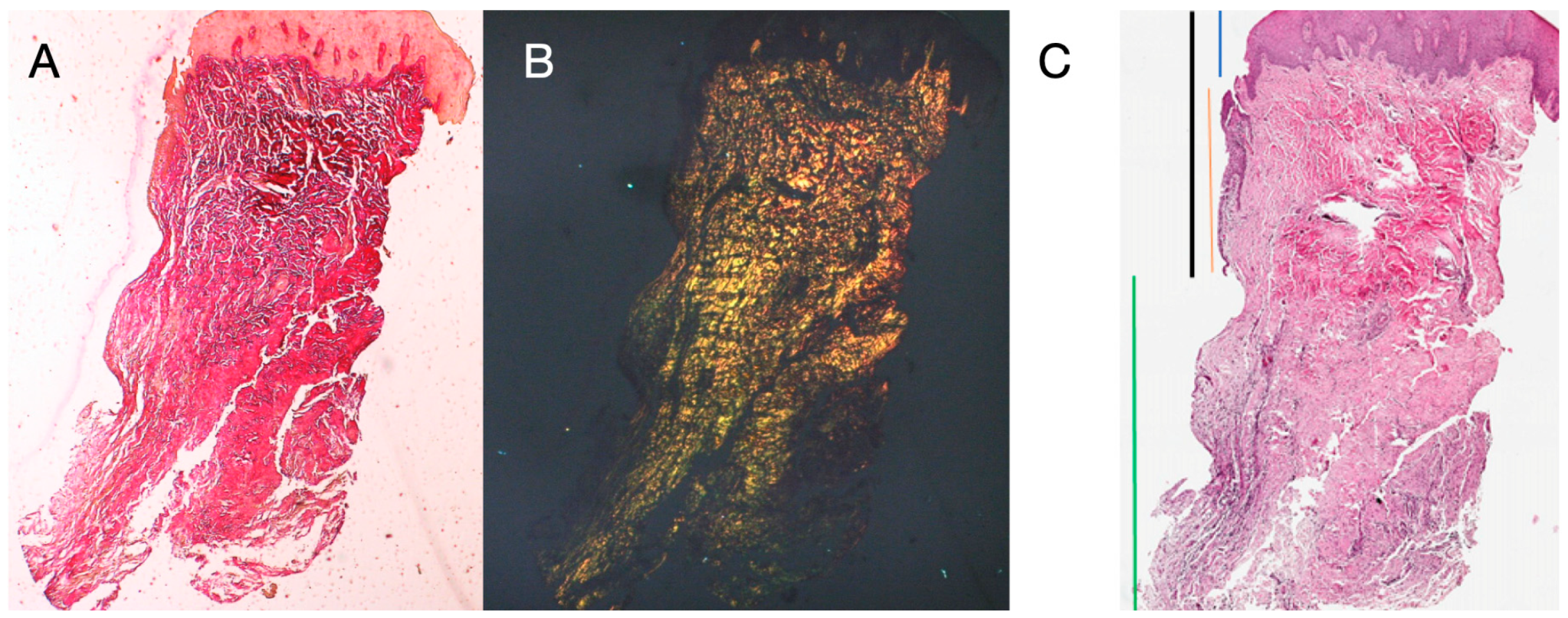 Dentistry 13 00154 g005