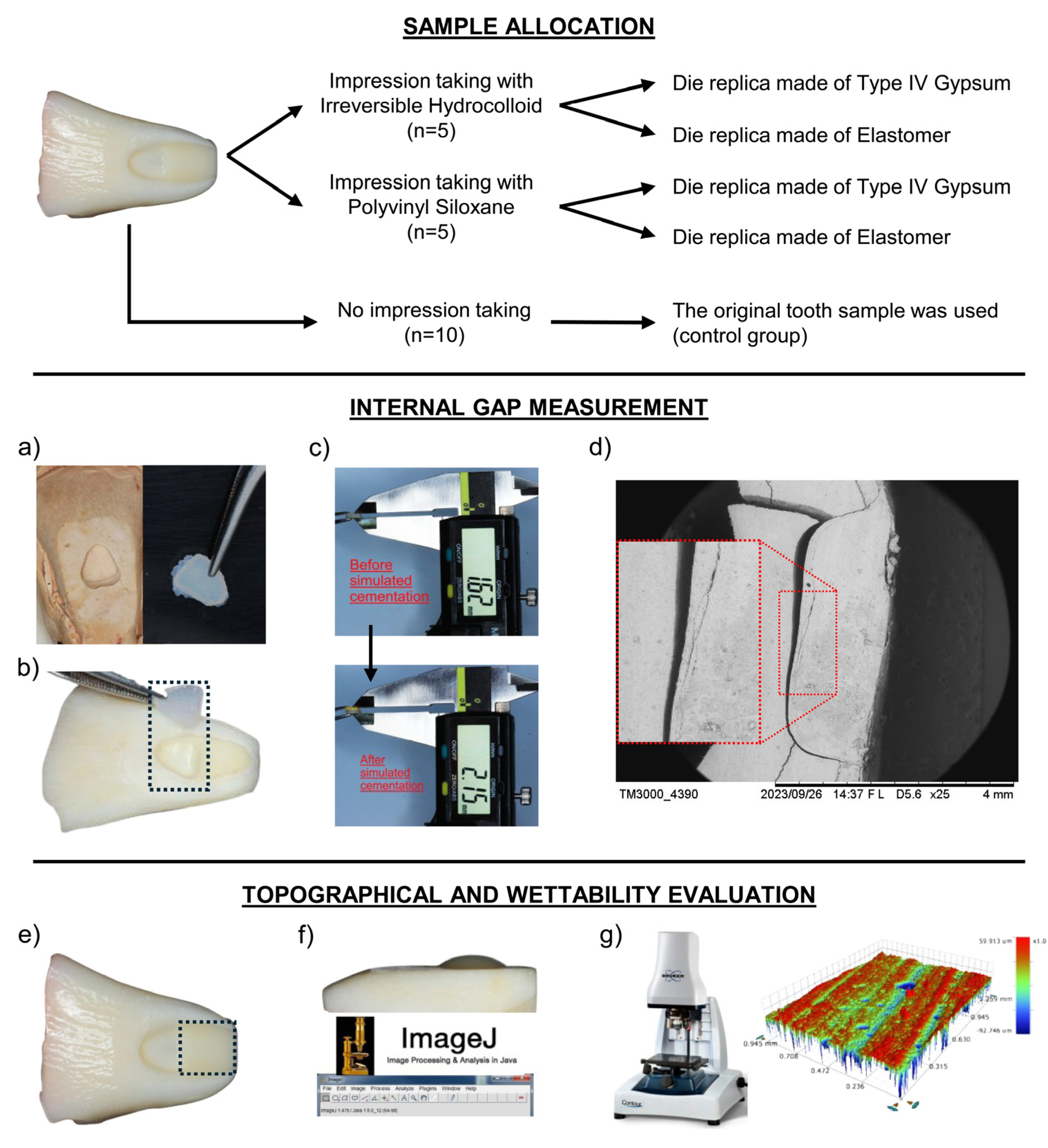 Dentistry 13 00155 g001