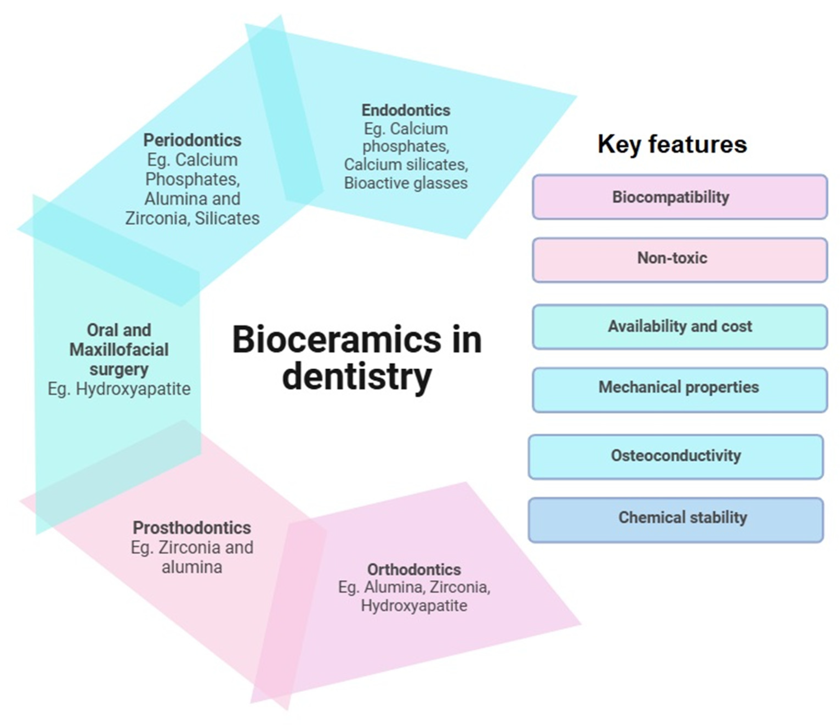 Dentistry 13 00157 g002