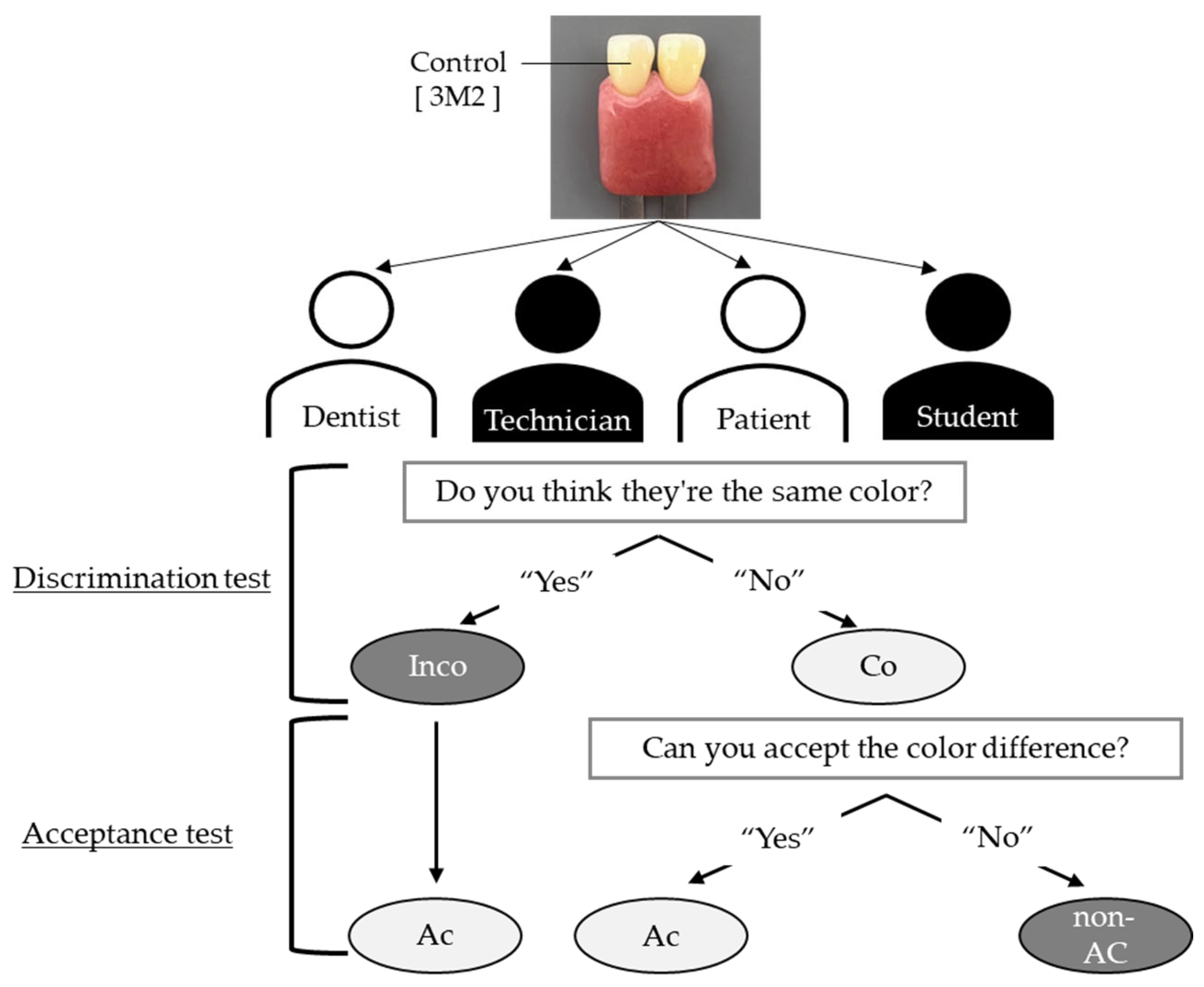 Dentistry 13 00163 g001