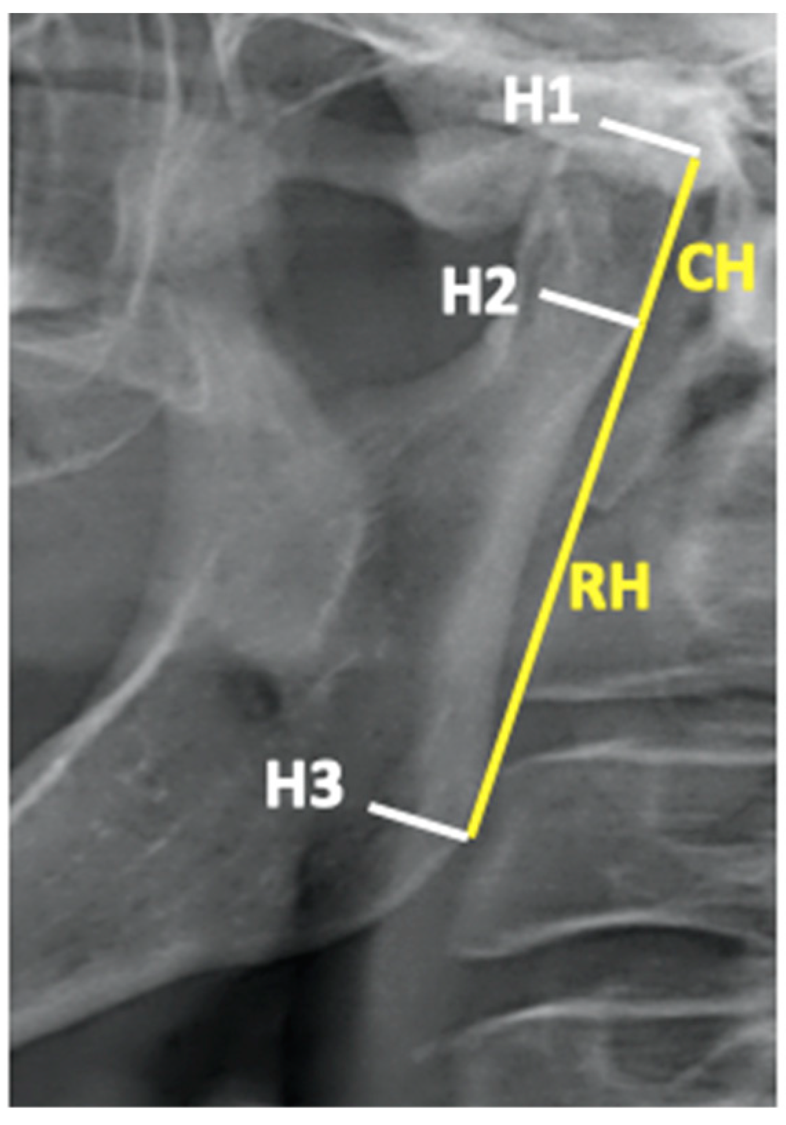 Dentistry 13 00176 g001
