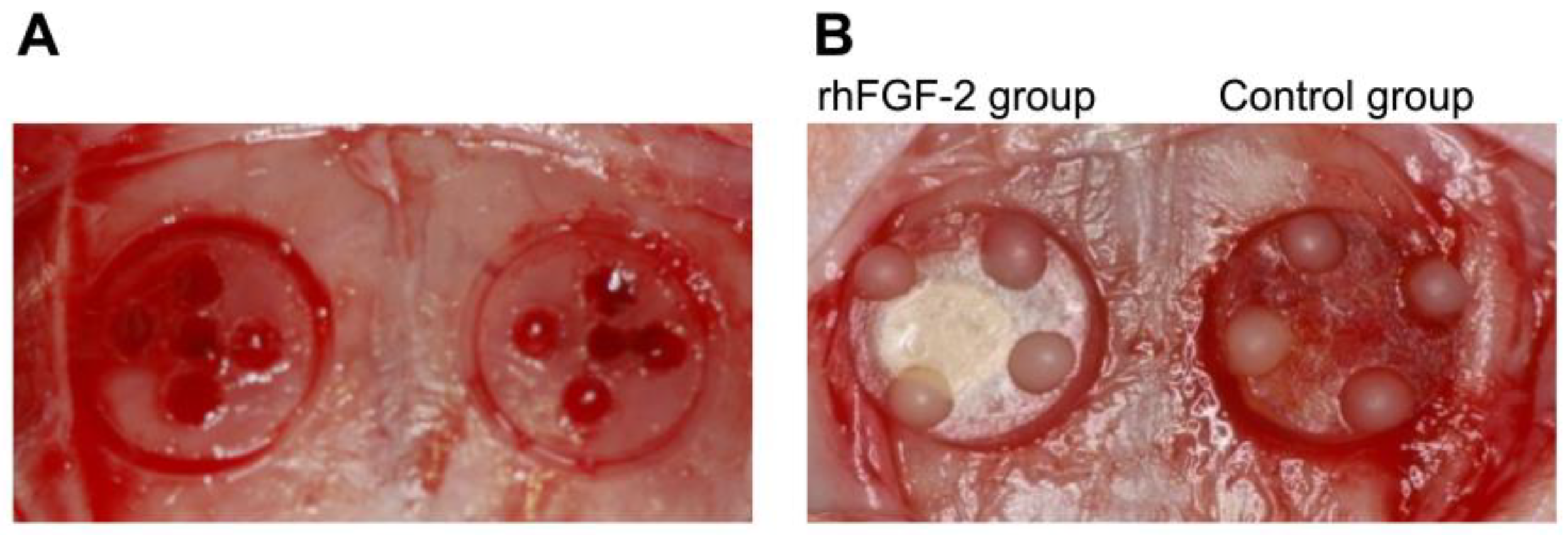 Dentistry 13 00177 g001