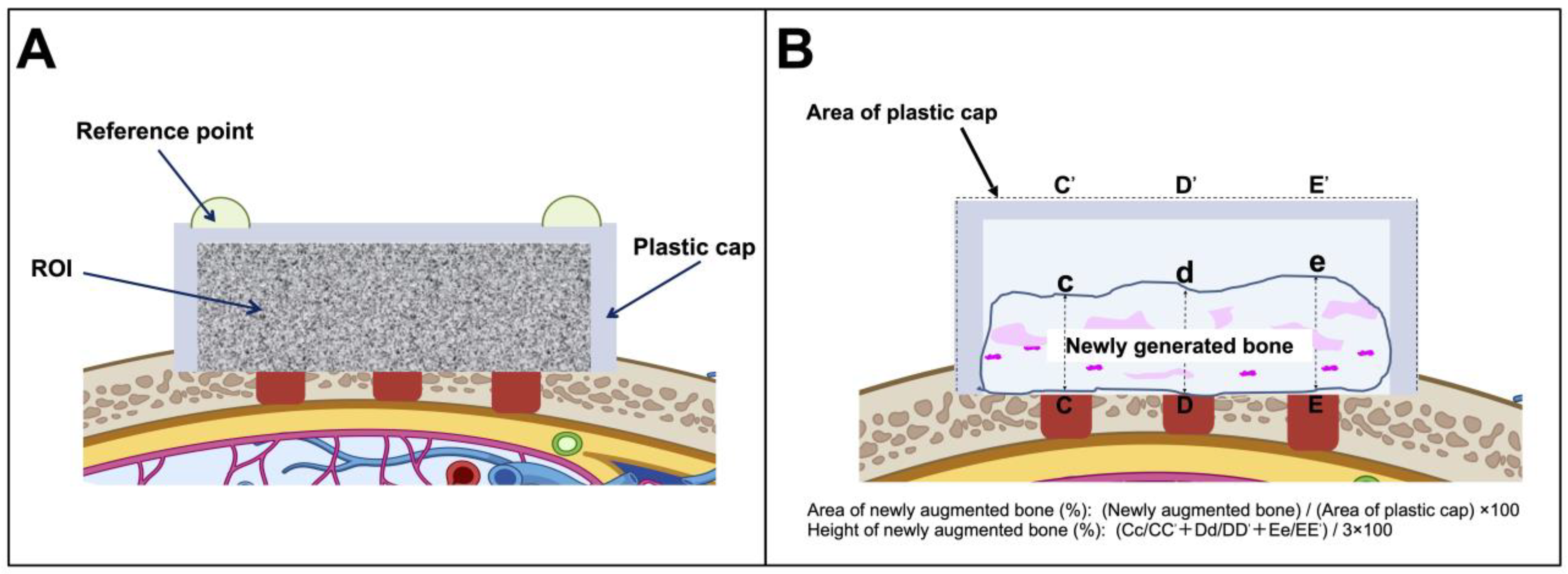 Dentistry 13 00177 g002