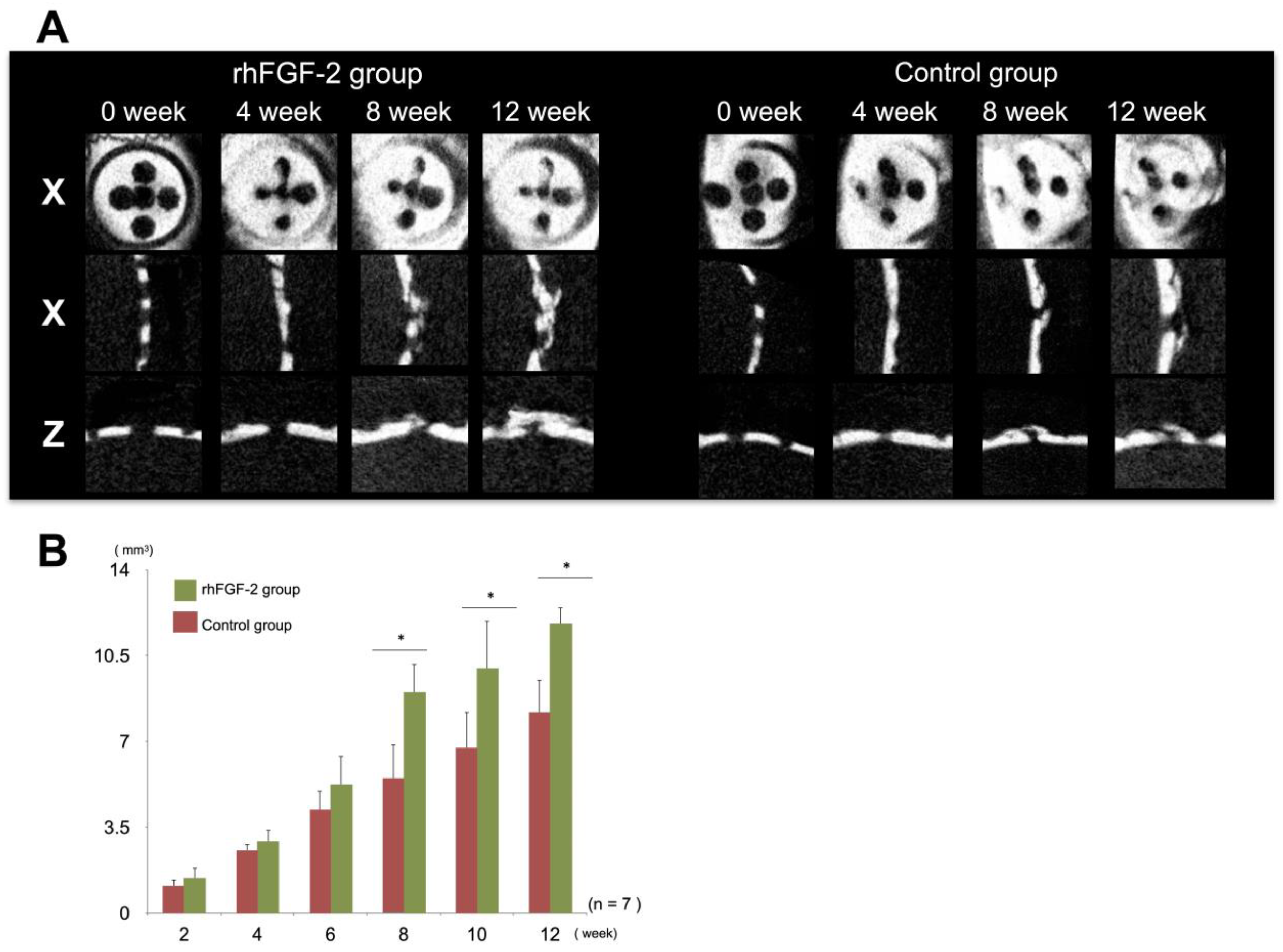 Dentistry 13 00177 g003