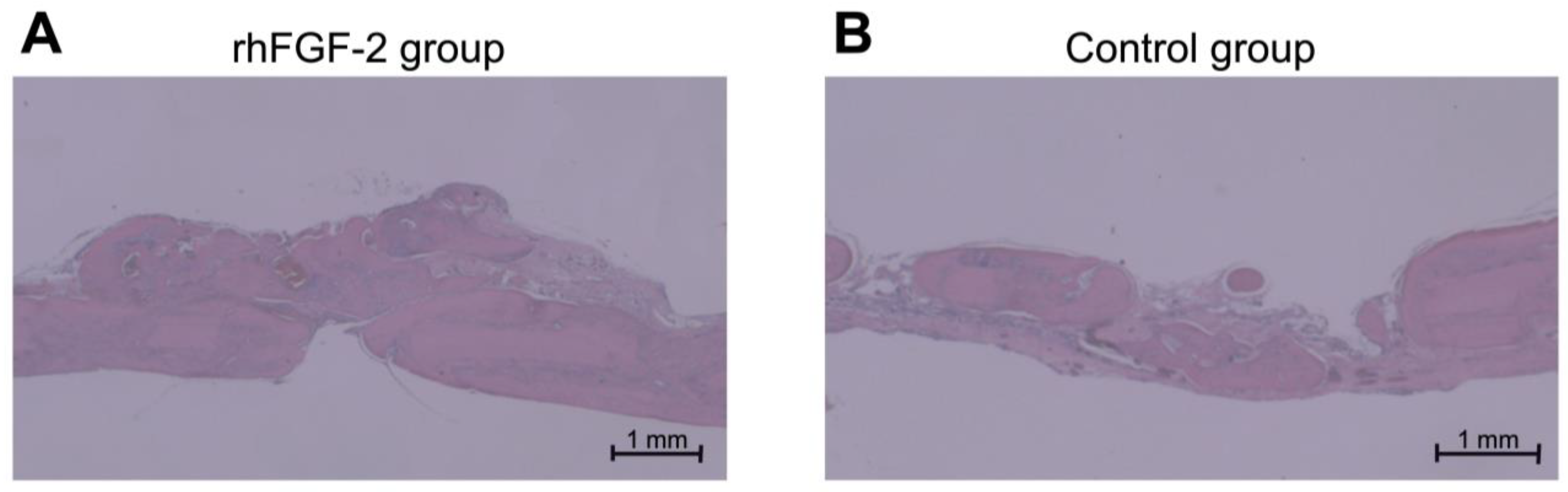 Dentistry 13 00177 g004