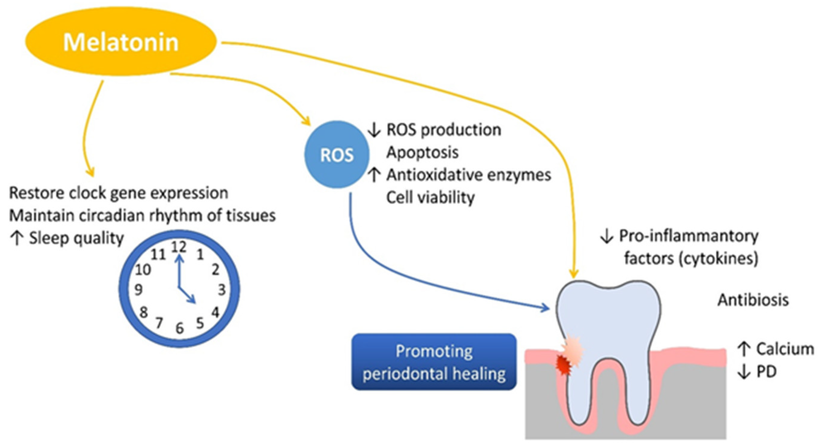 Dentistry 13 00178 g003