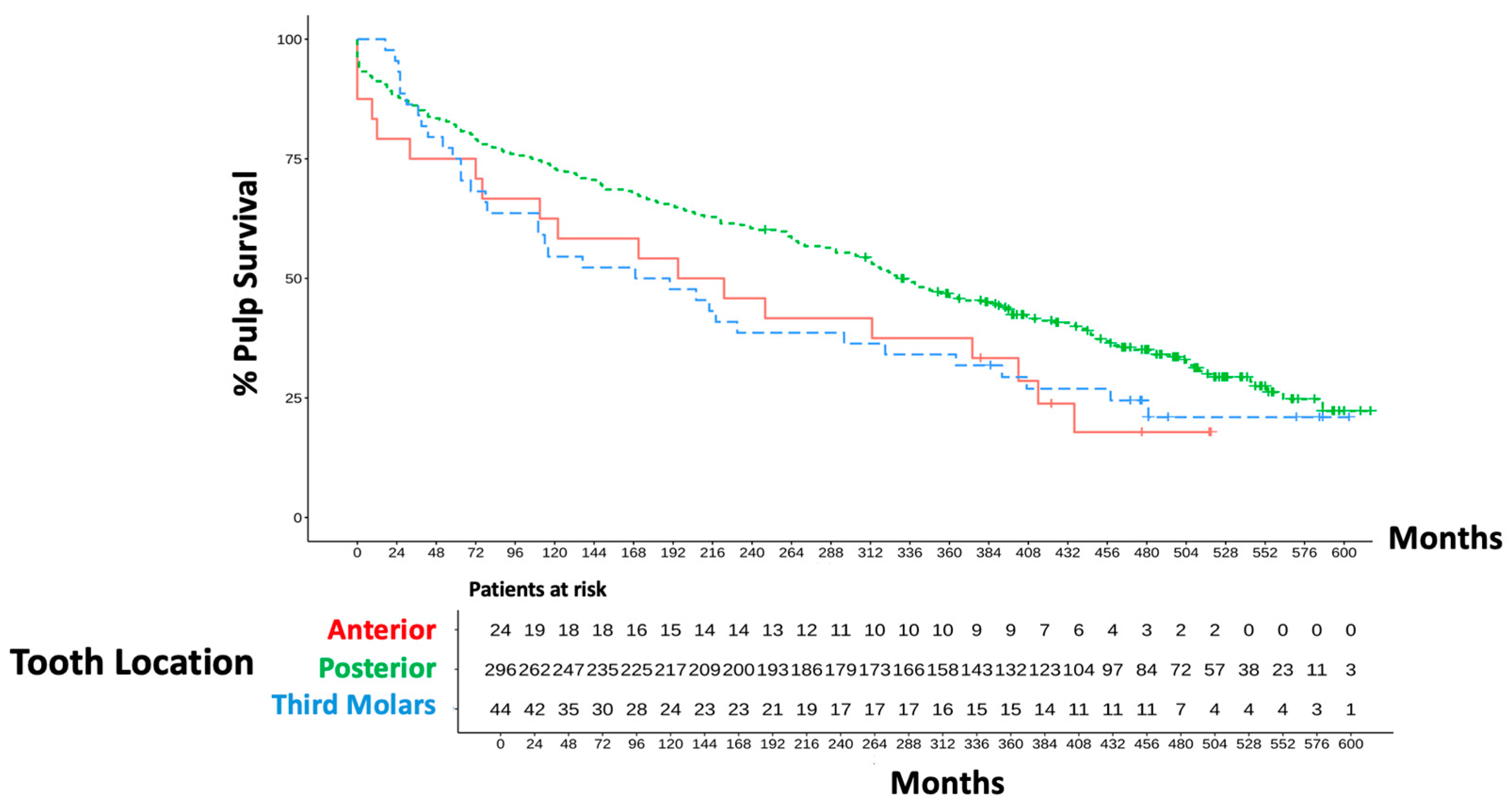 Dentistry 13 00182 g005