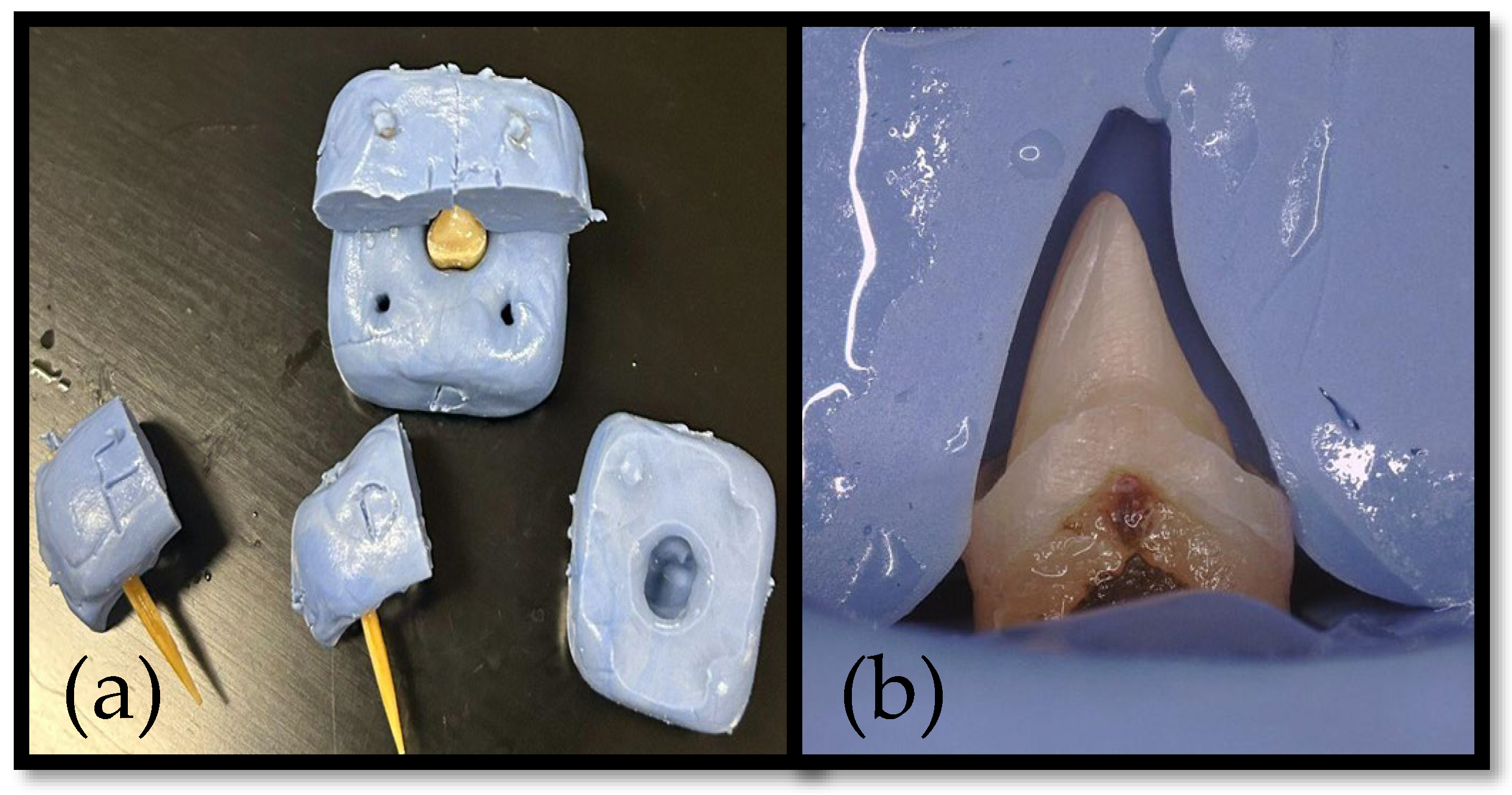 Dentistry 13 00189 g002