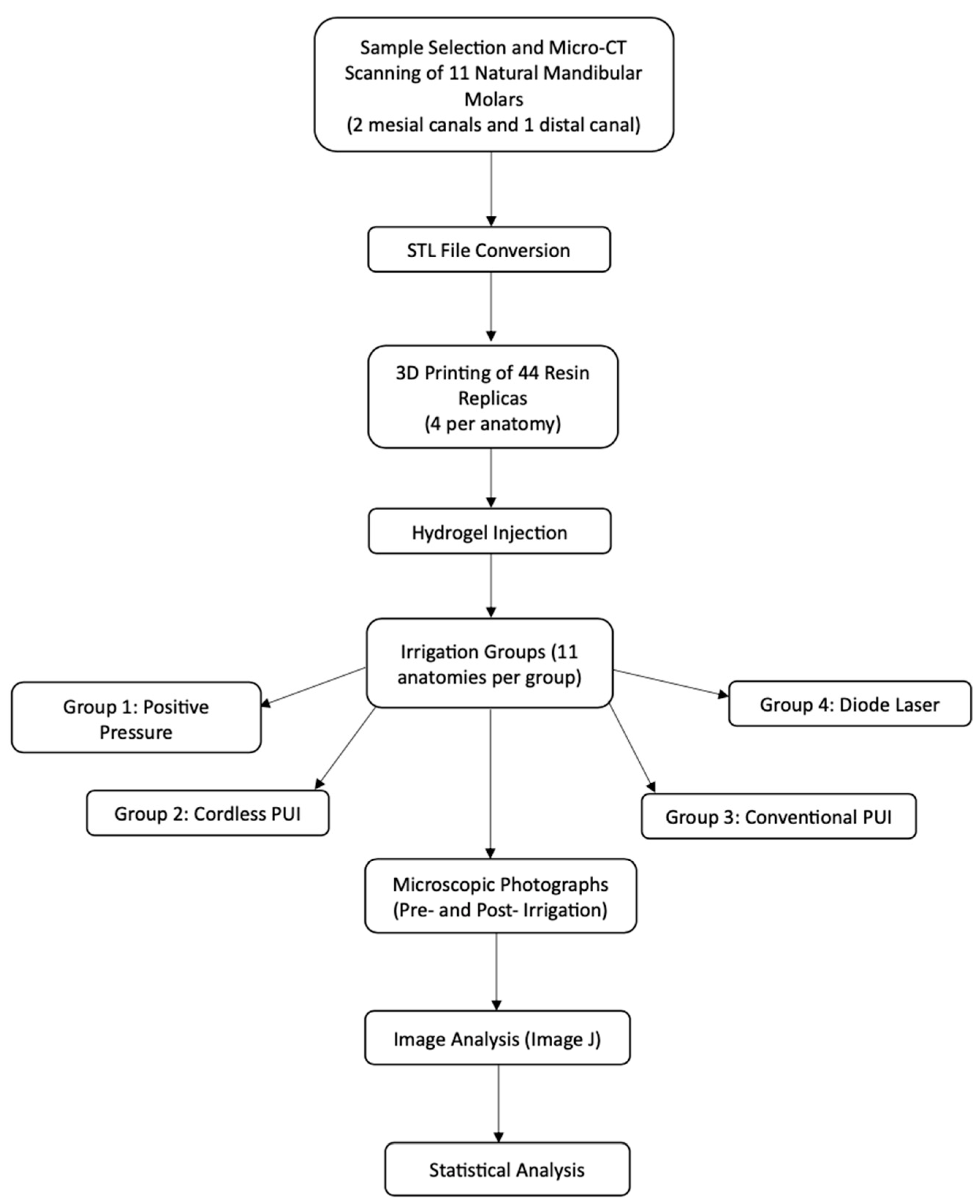 Dentistry 13 00192 g002