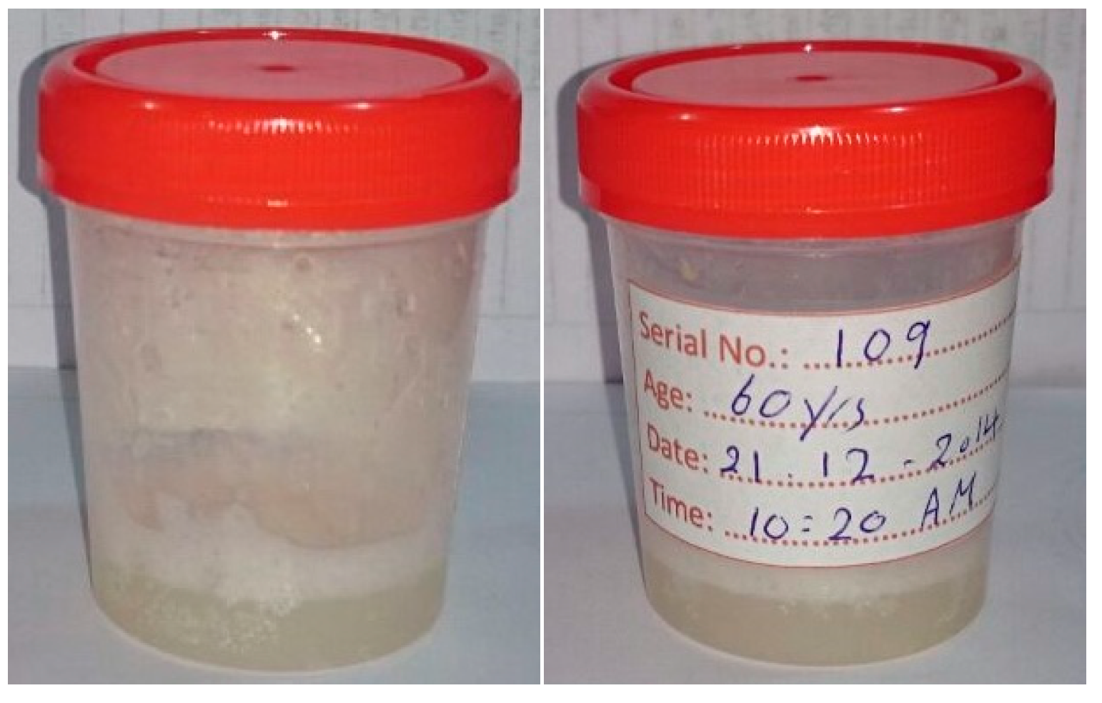 Dentistry 13 00194 g002