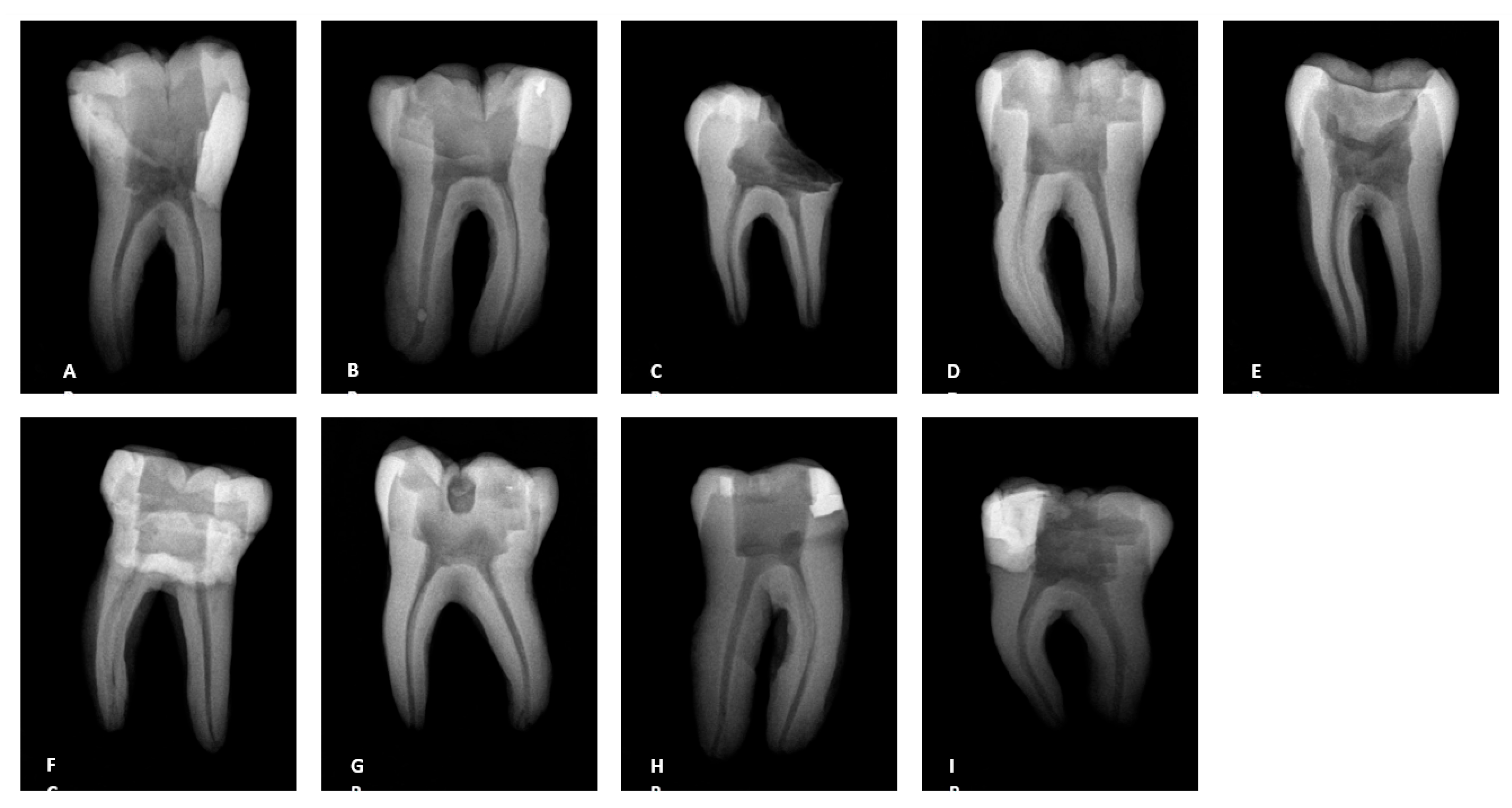 Dentistry 13 00195 g001