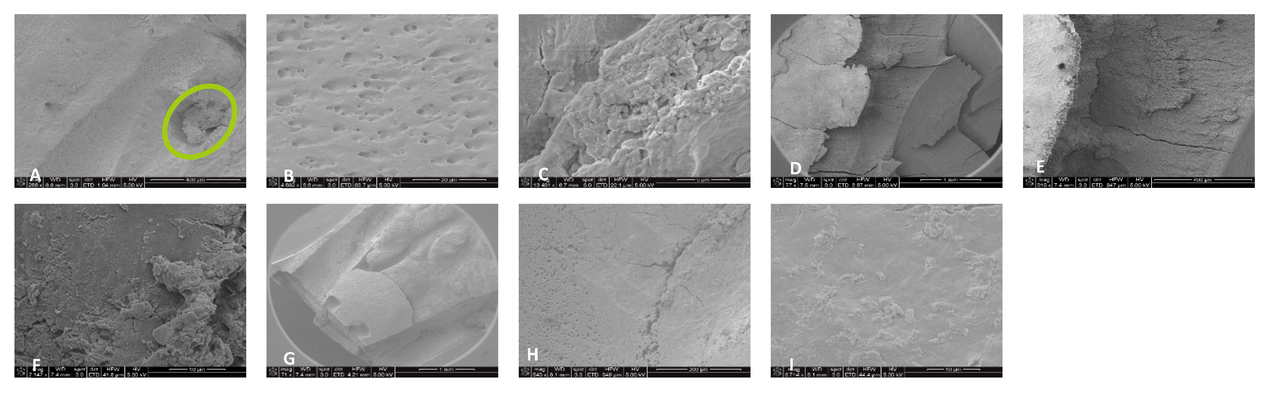 Dentistry 13 00195 g006