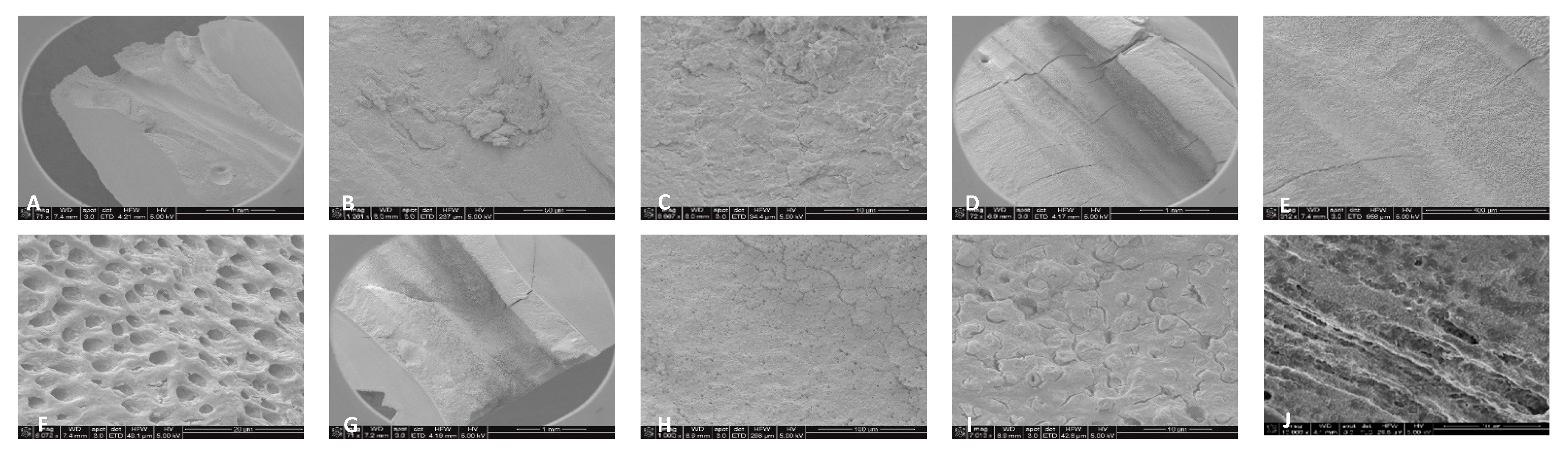 Dentistry 13 00195 g007