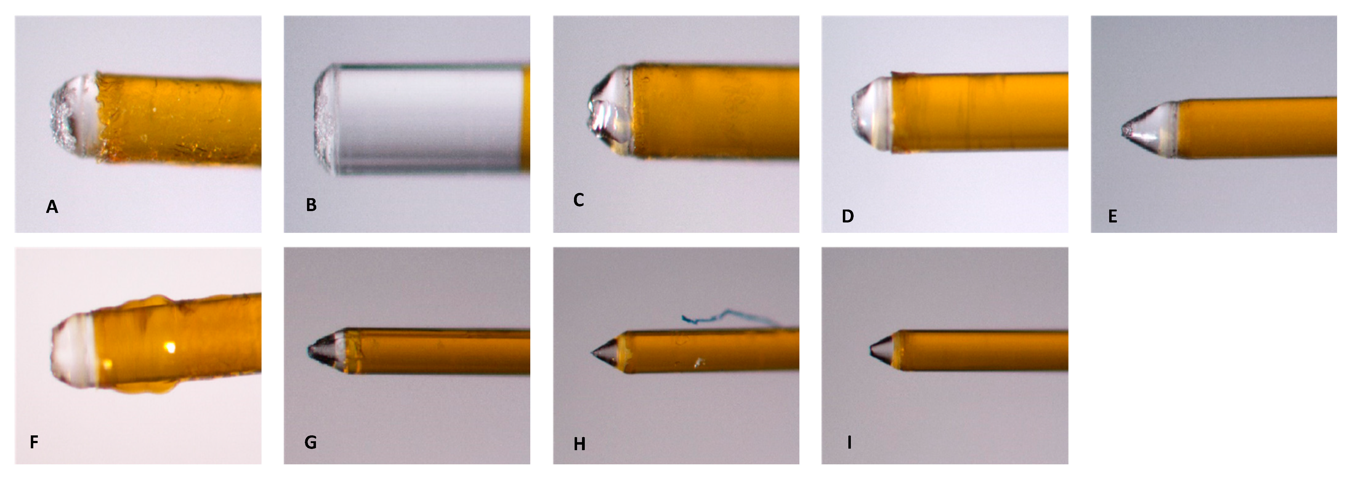 Dentistry 13 00195 g012