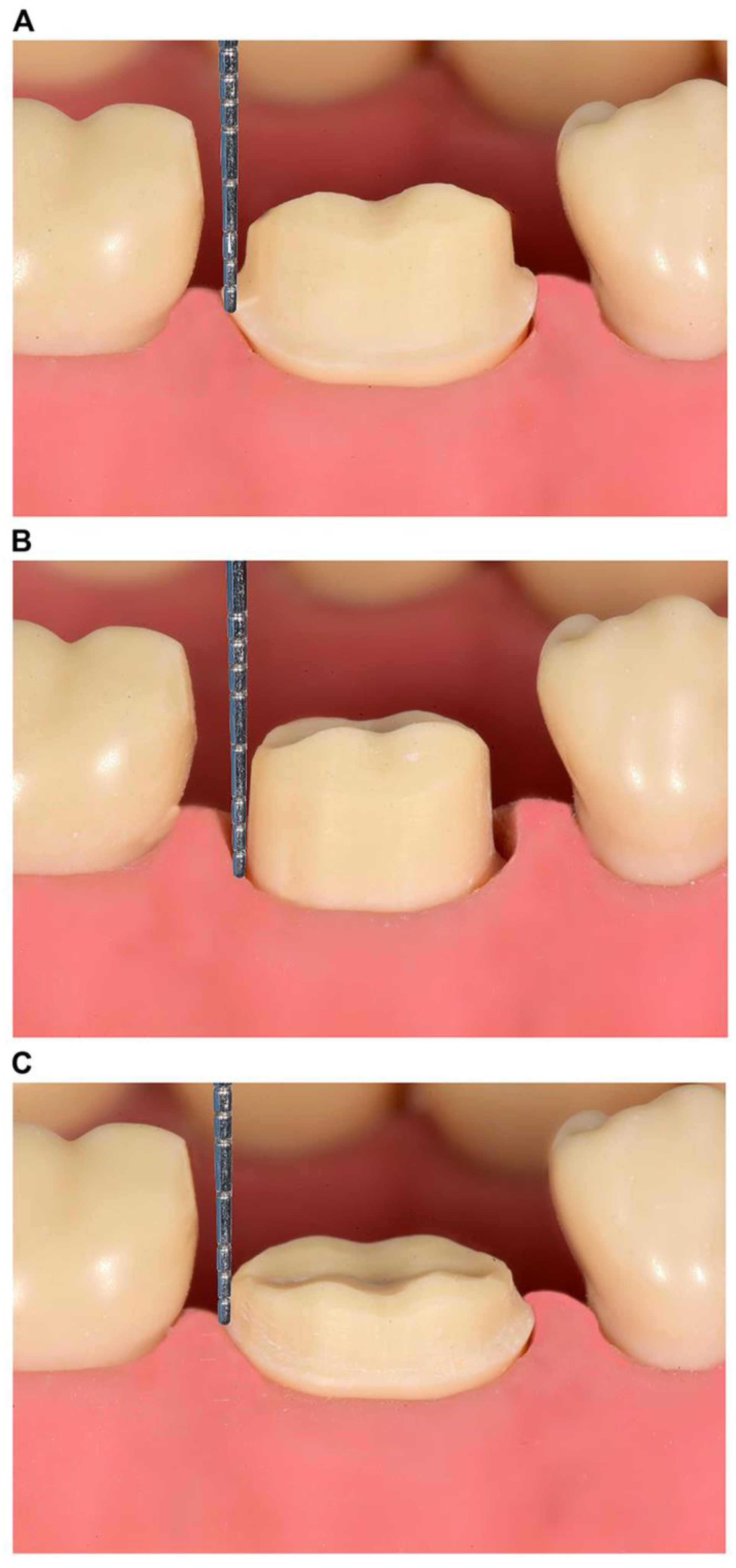 Dentistry 13 00207 g002