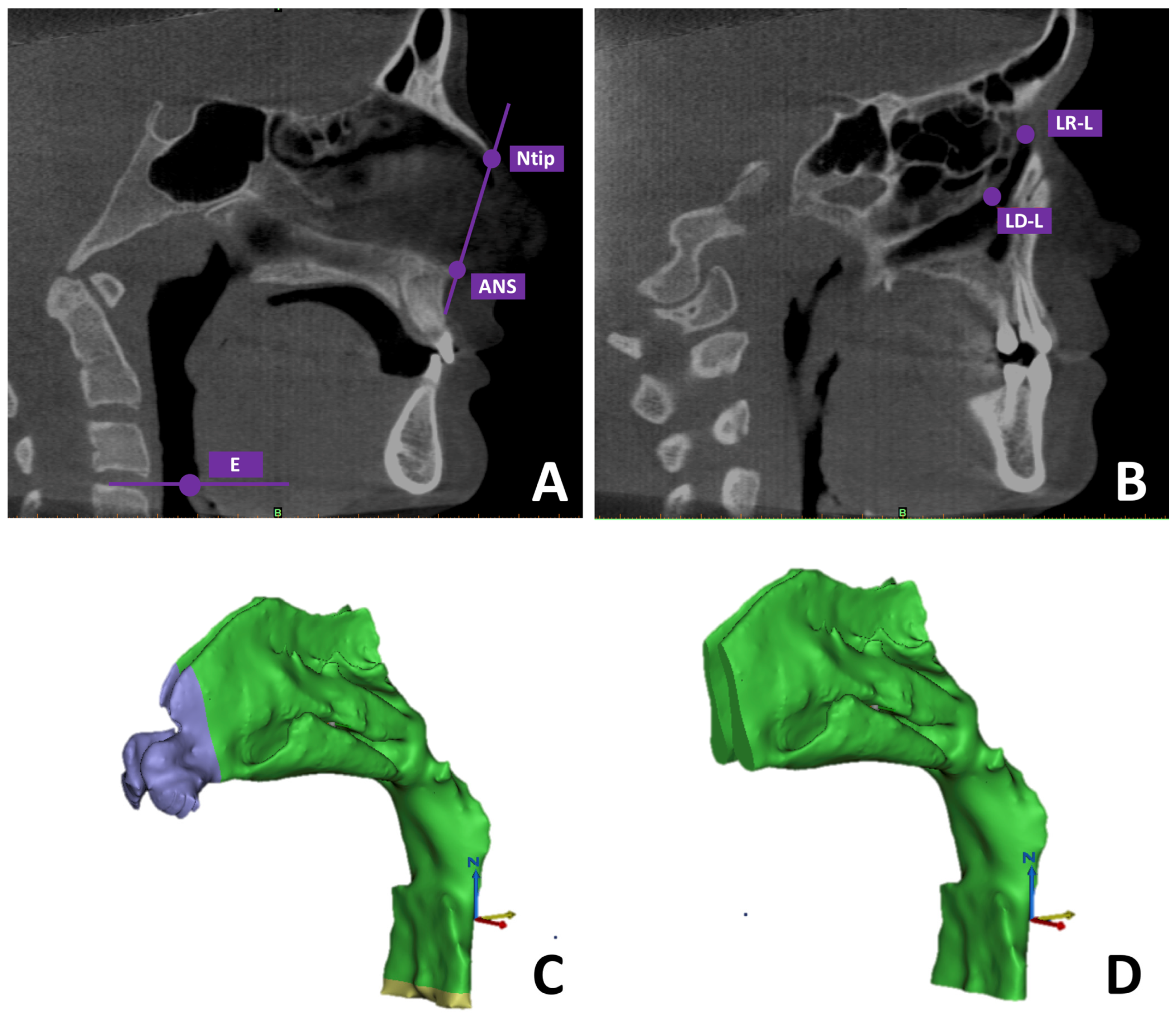 Dentistry 13 00209 g001