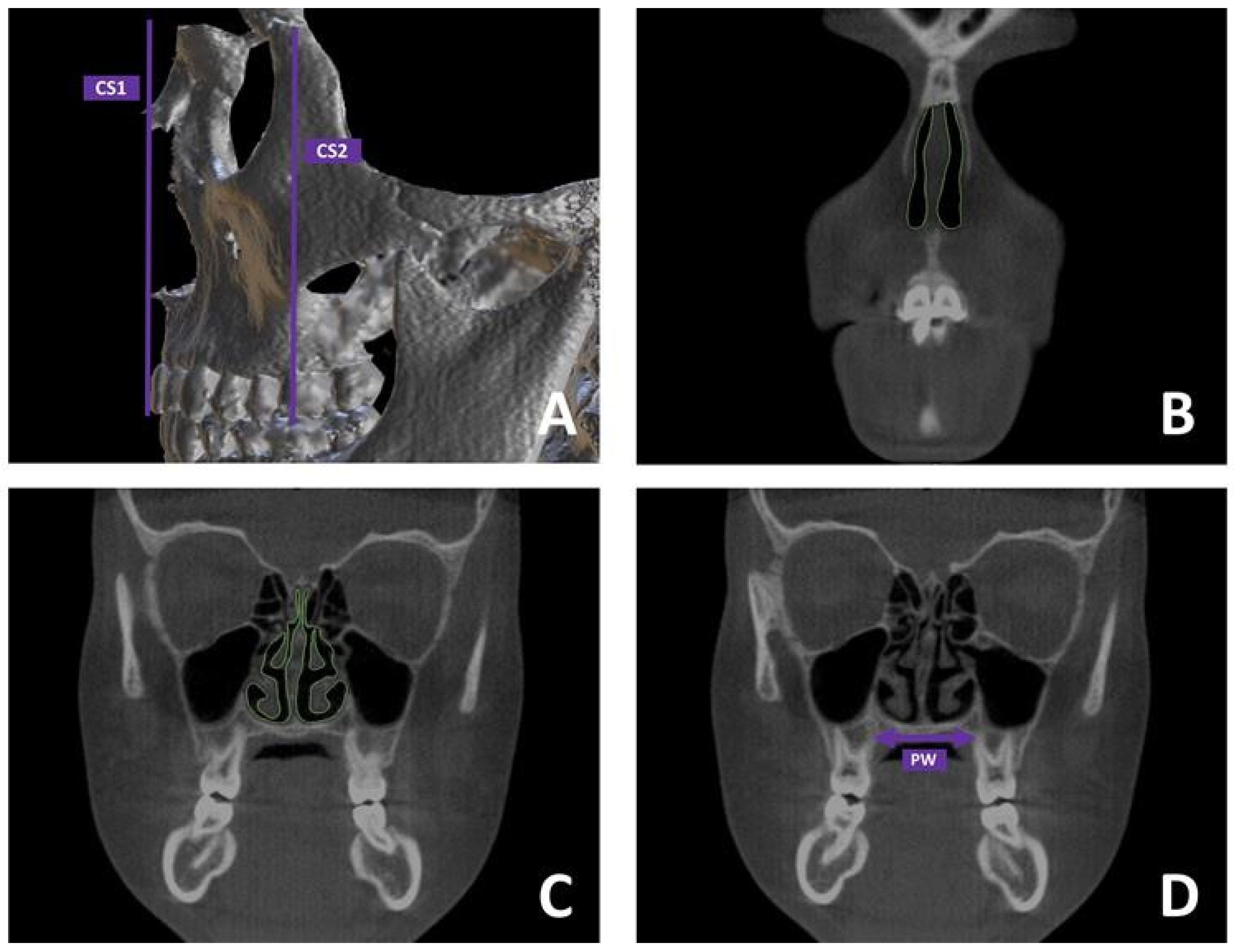 Dentistry 13 00209 g002