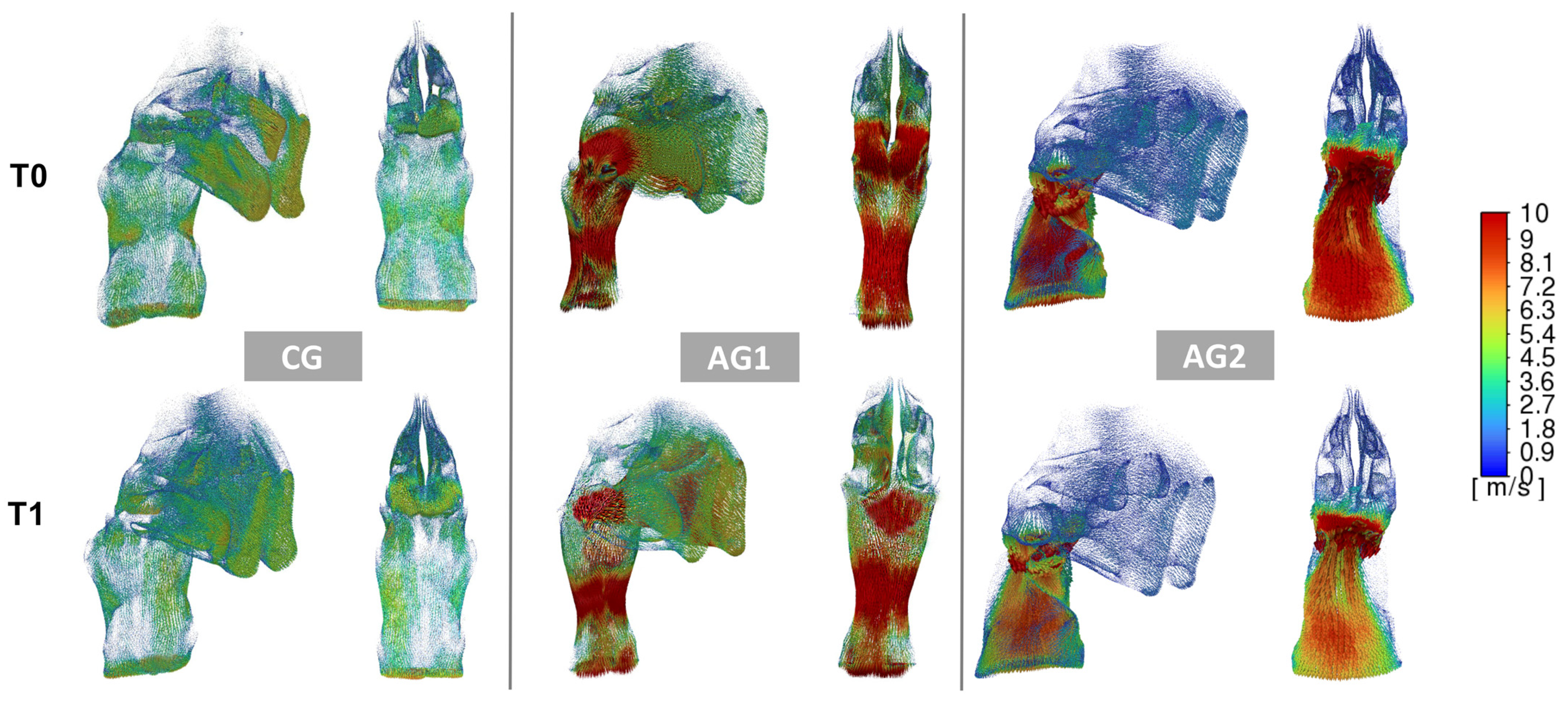 Dentistry 13 00209 g003