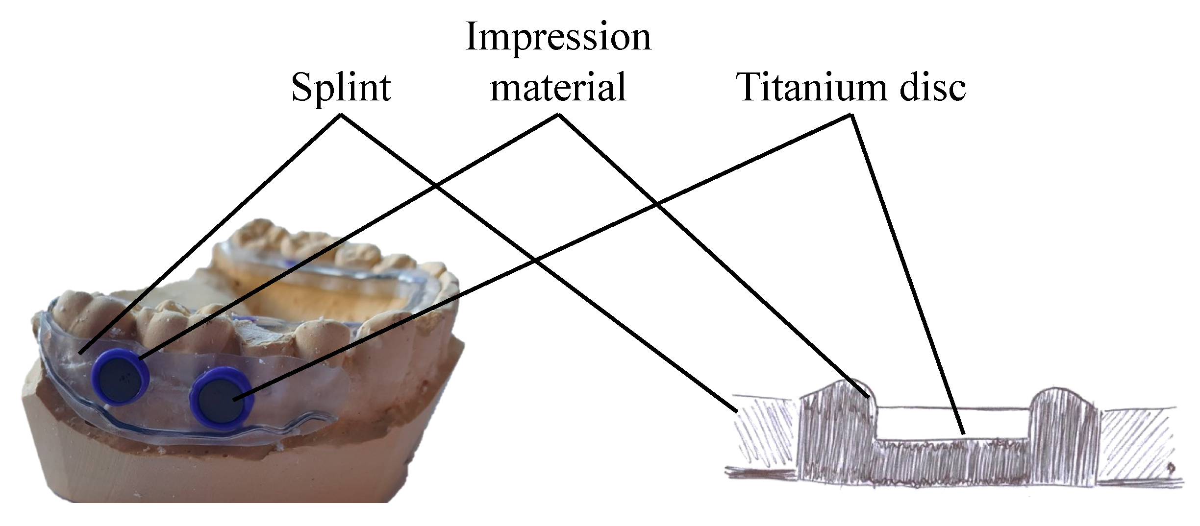Dentistry 13 00210 g002