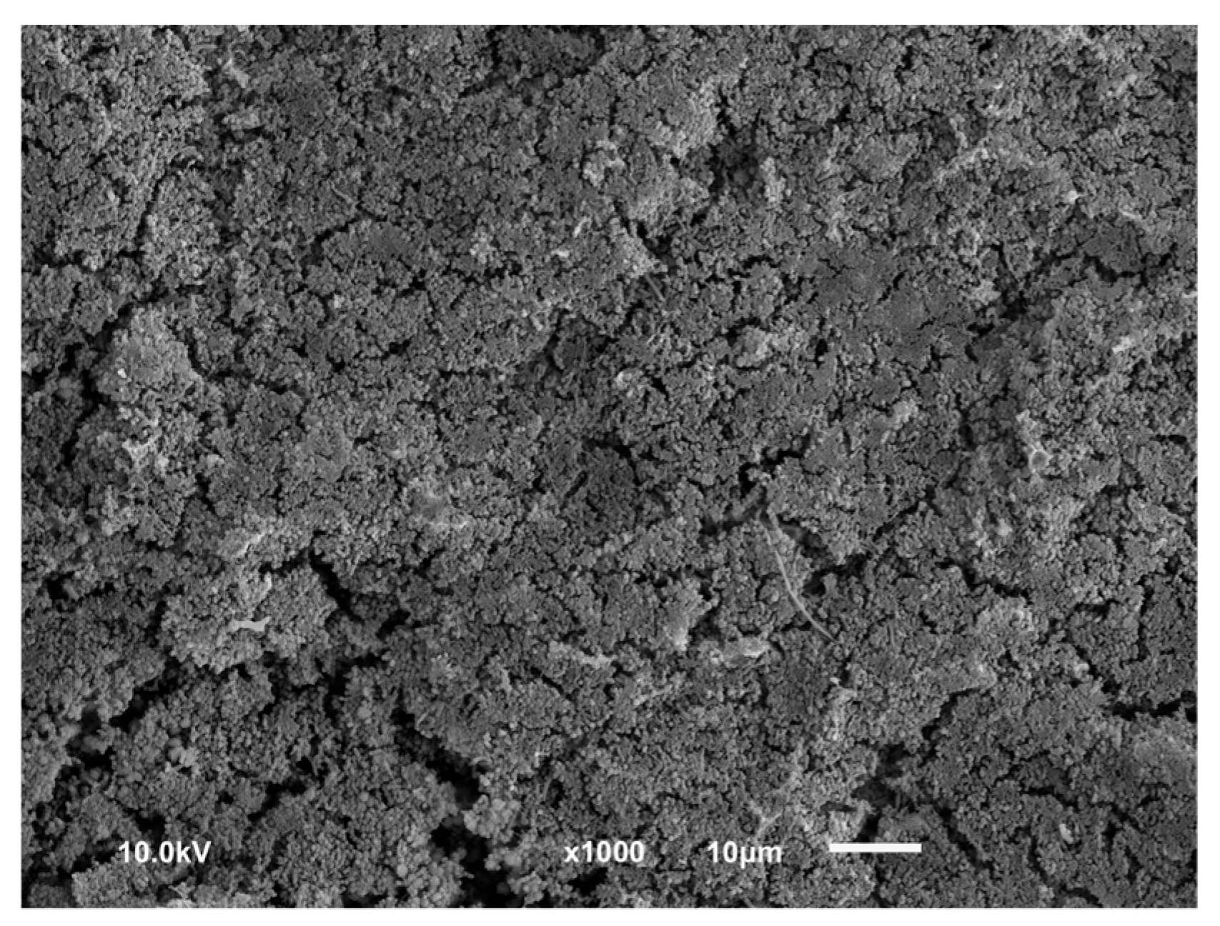 Dentistry 13 00210 g003