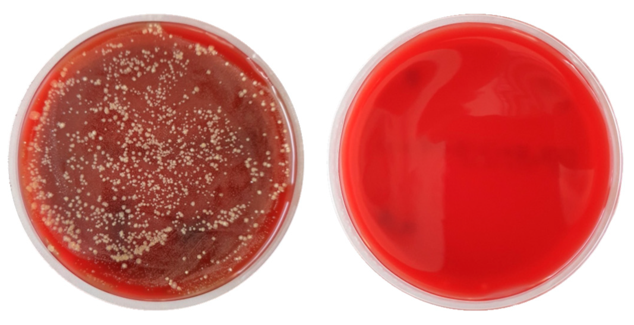 Dentistry 13 00210 g006