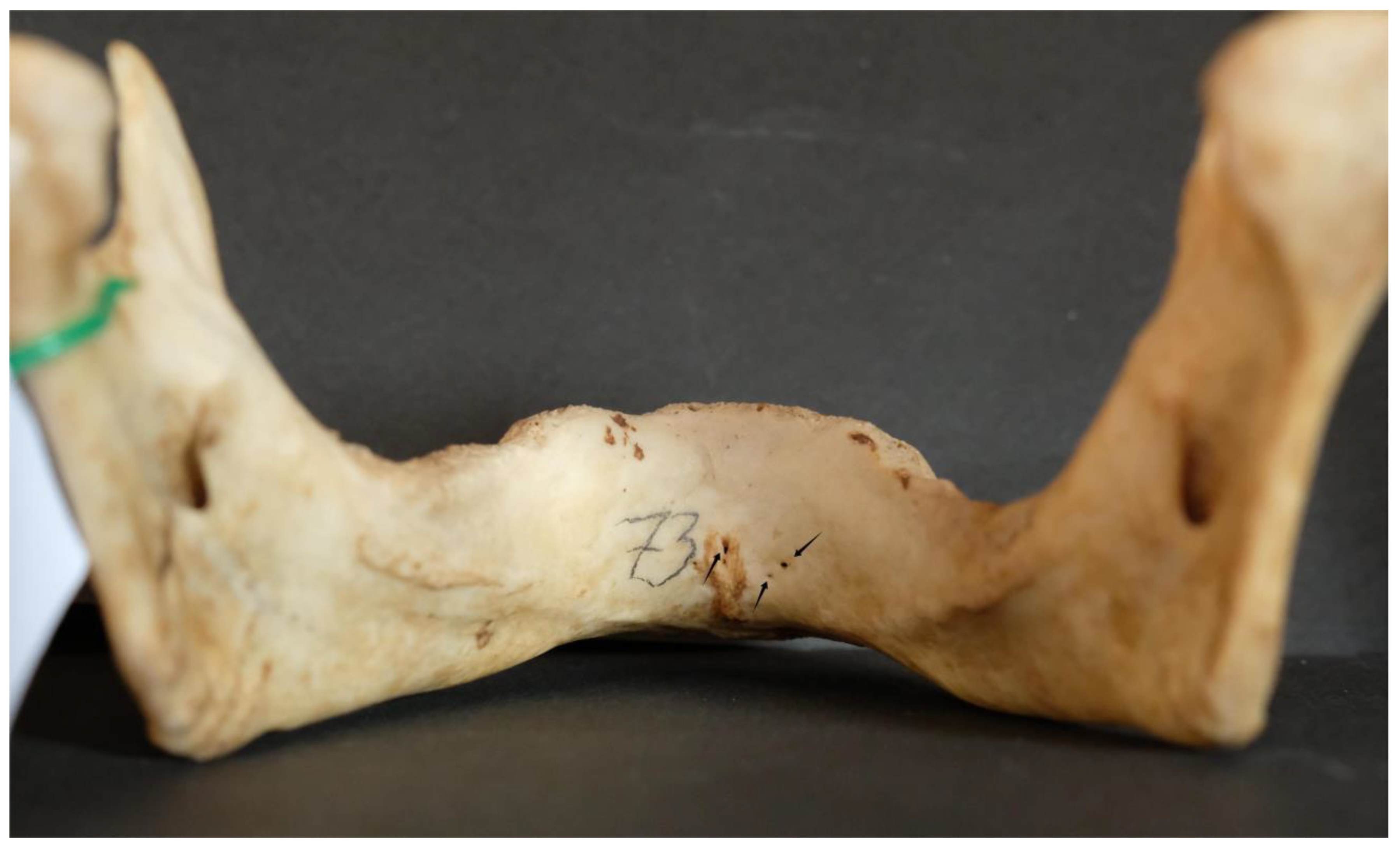 Dentistry 13 00218 g002