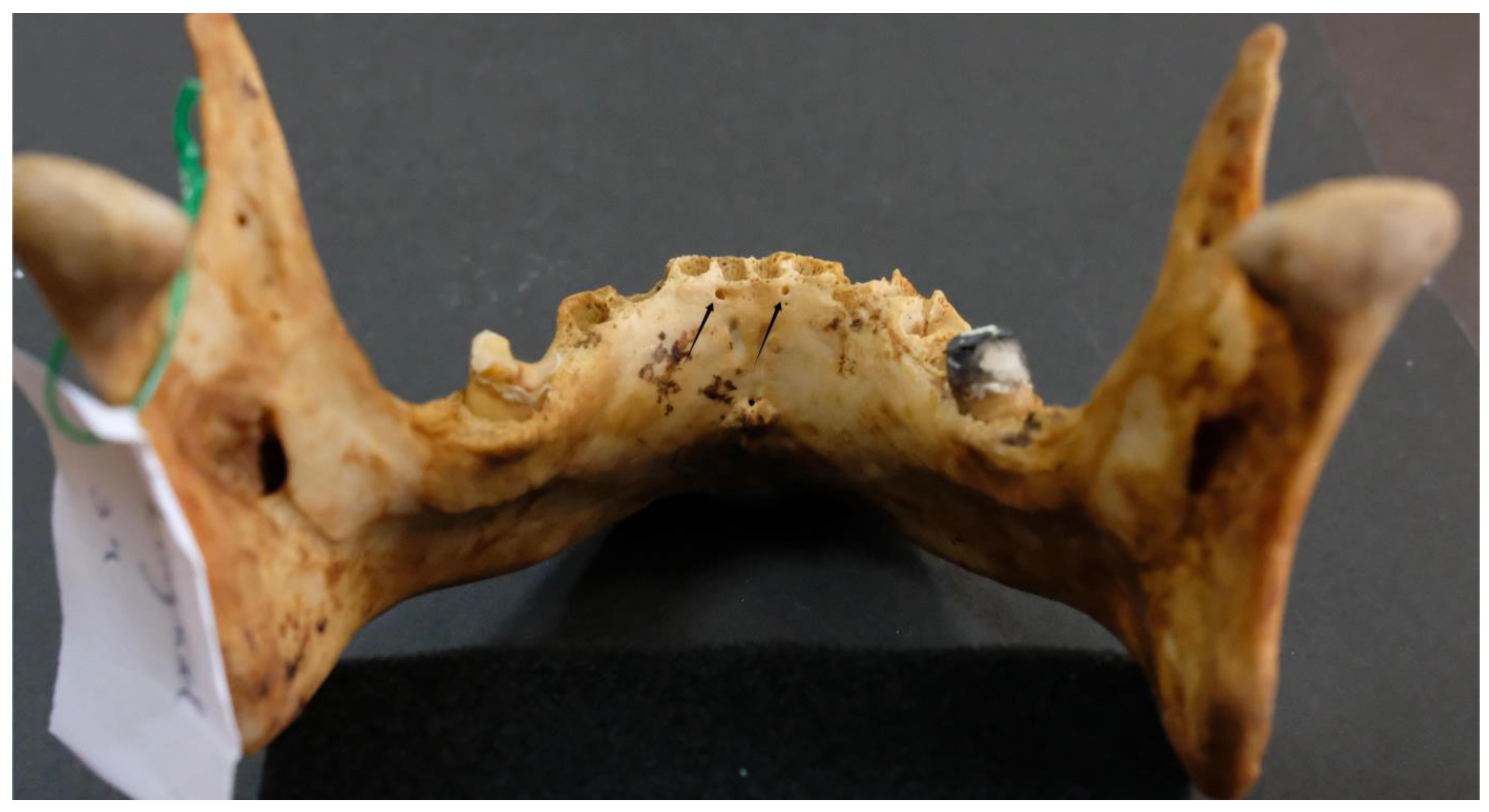 Dentistry 13 00218 g010