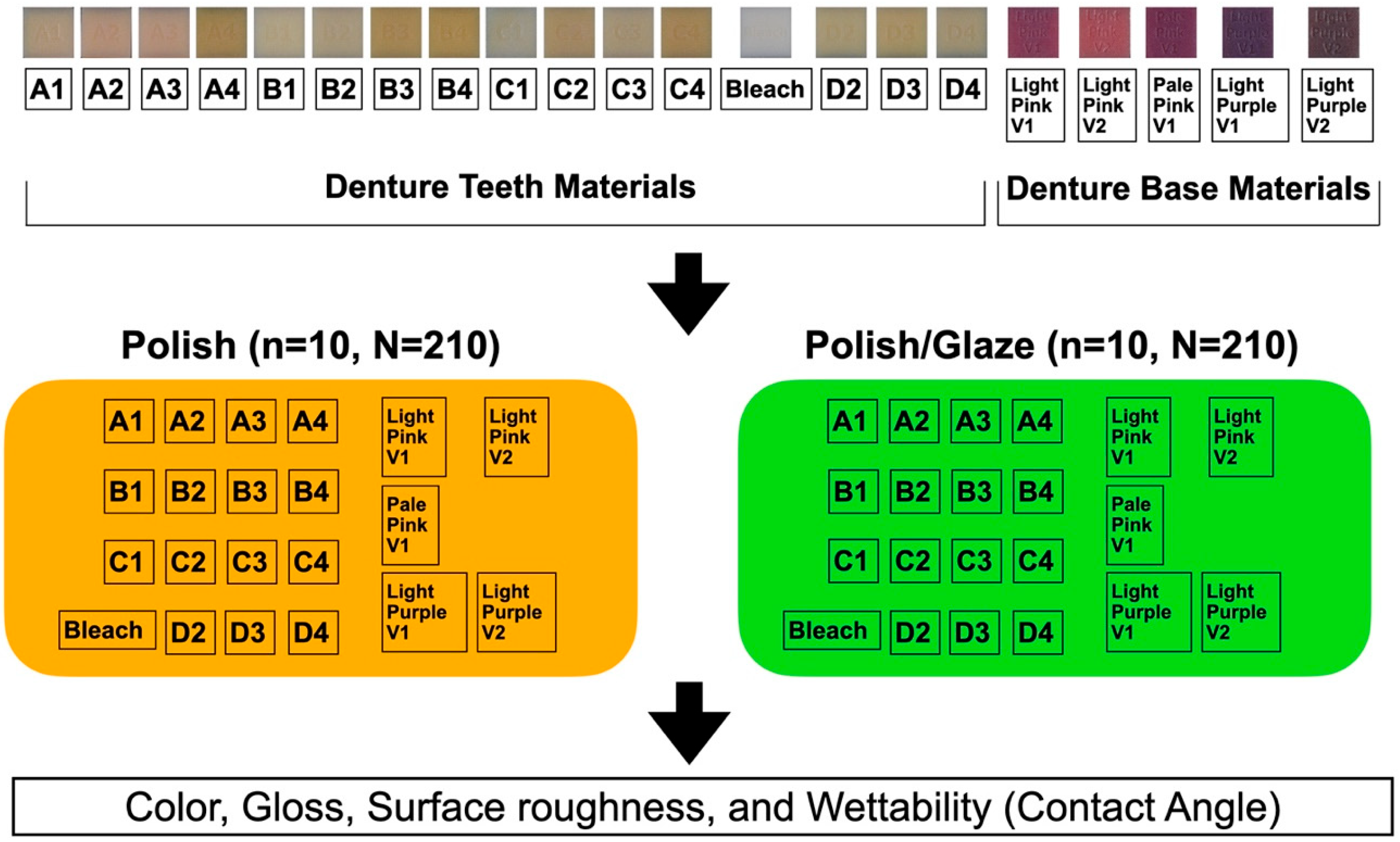 Dentistry 13 00220 g002