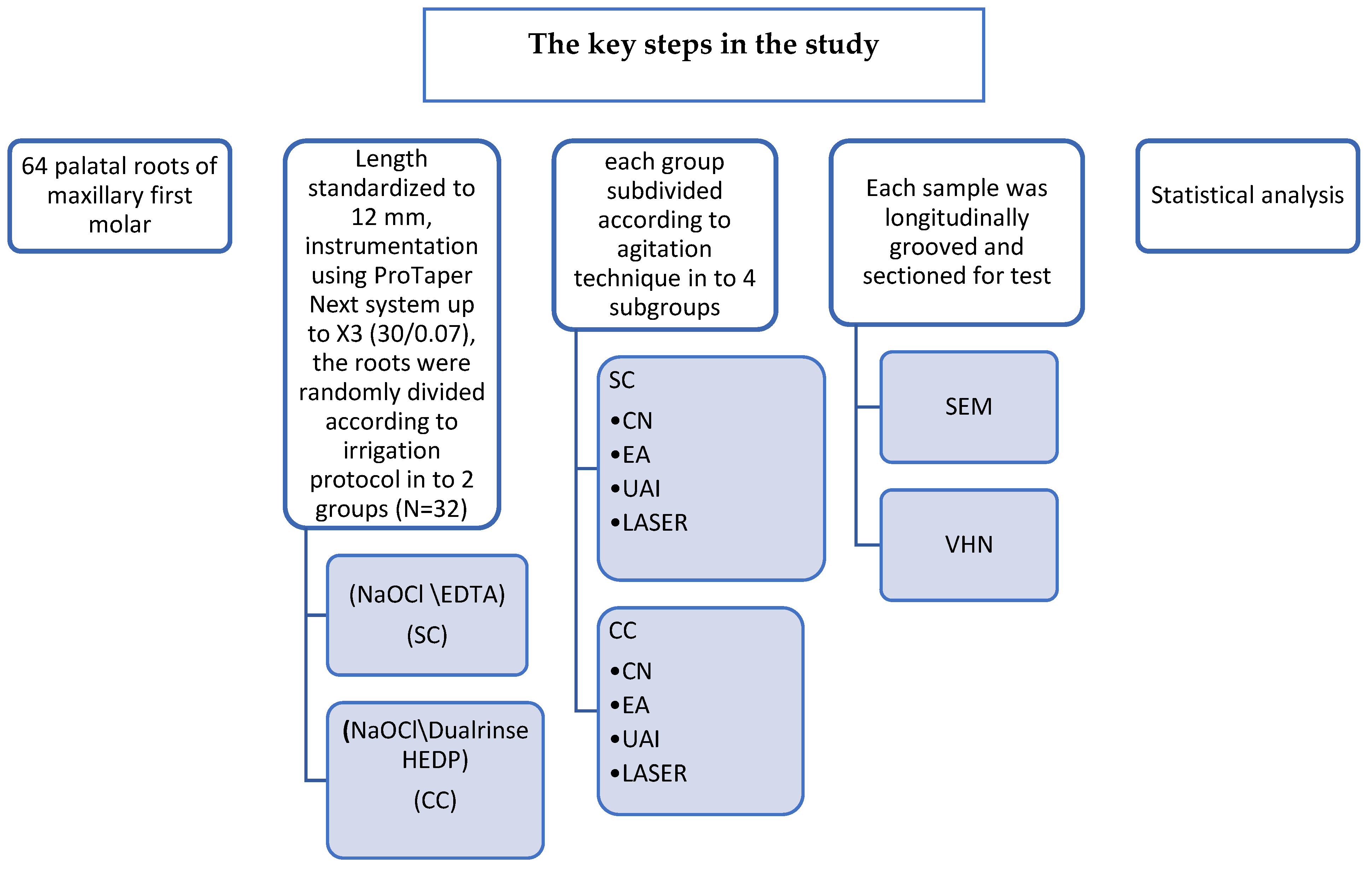 Dentistry 13 00221 g001
