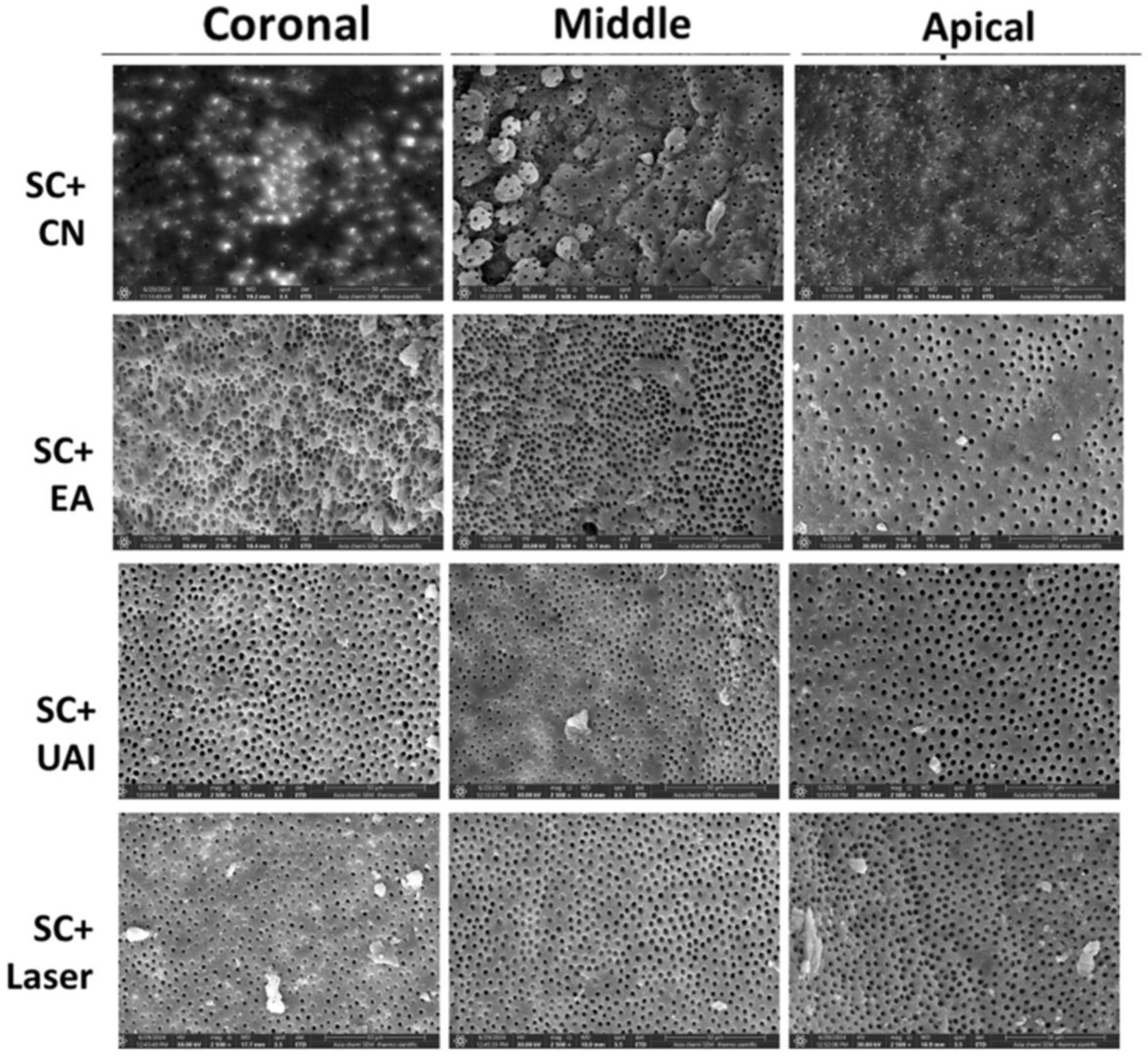 Dentistry 13 00221 g002