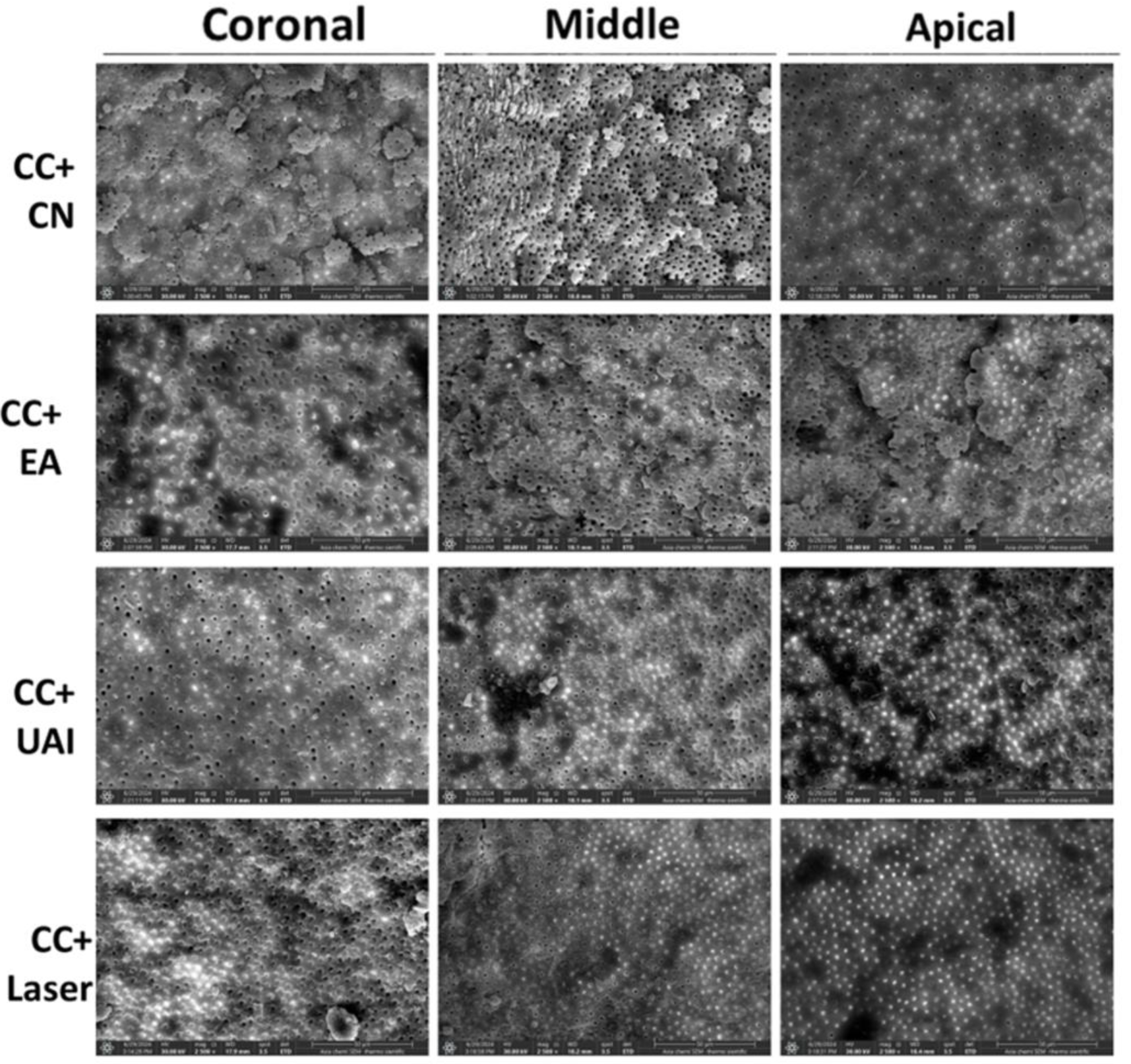Dentistry 13 00221 g003