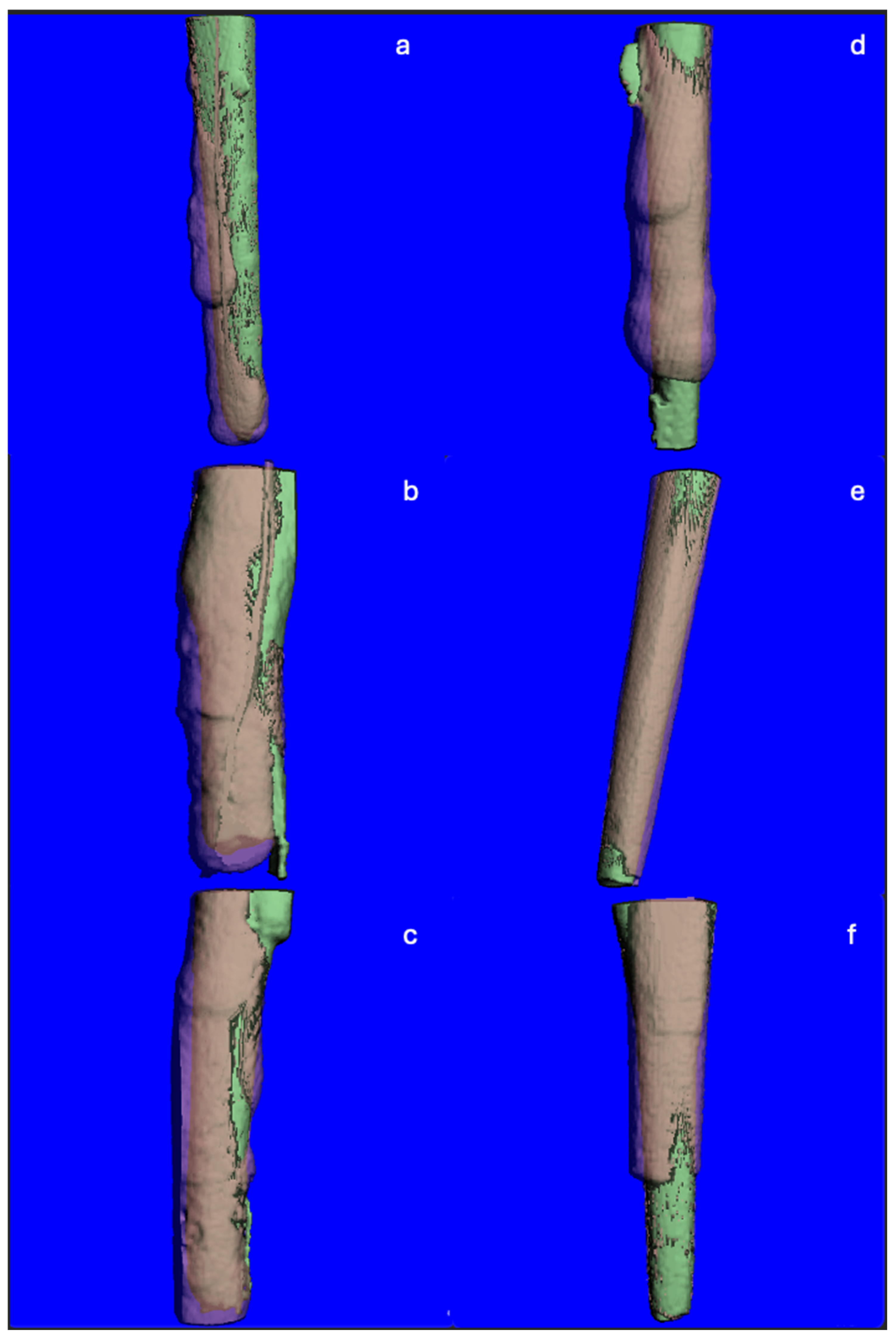 Dentistry 13 00234 g003