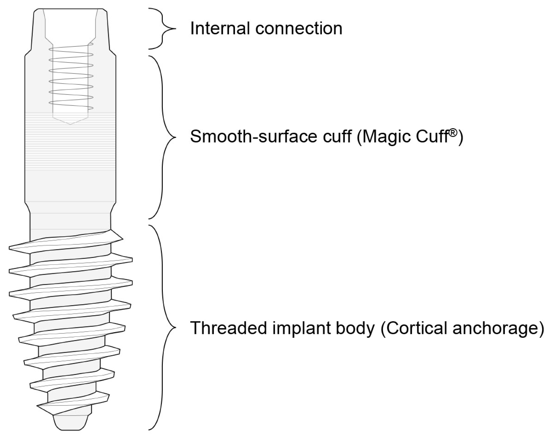 Dentistry 13 00241 g001