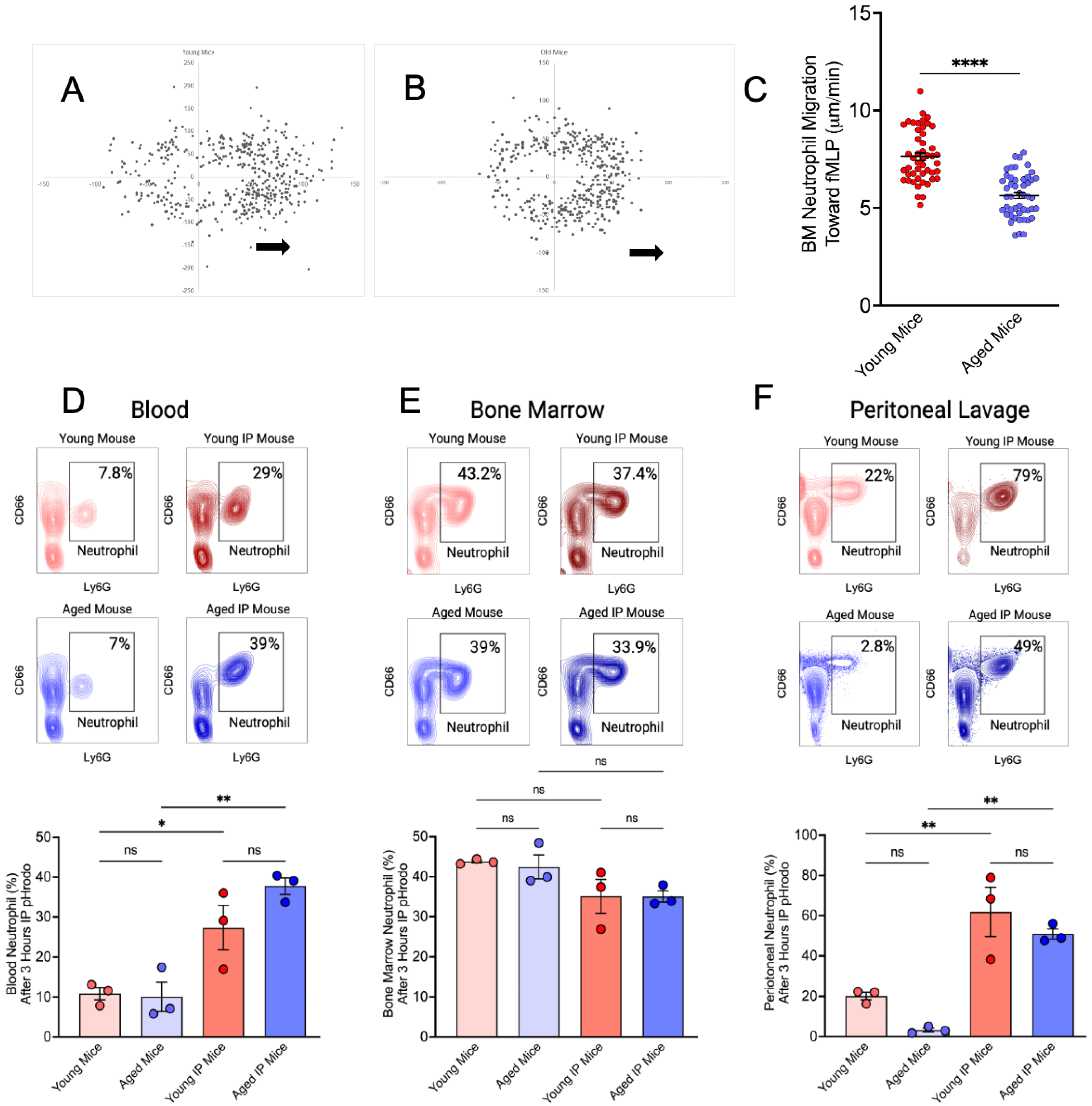 Dentistry 13 00244 g001