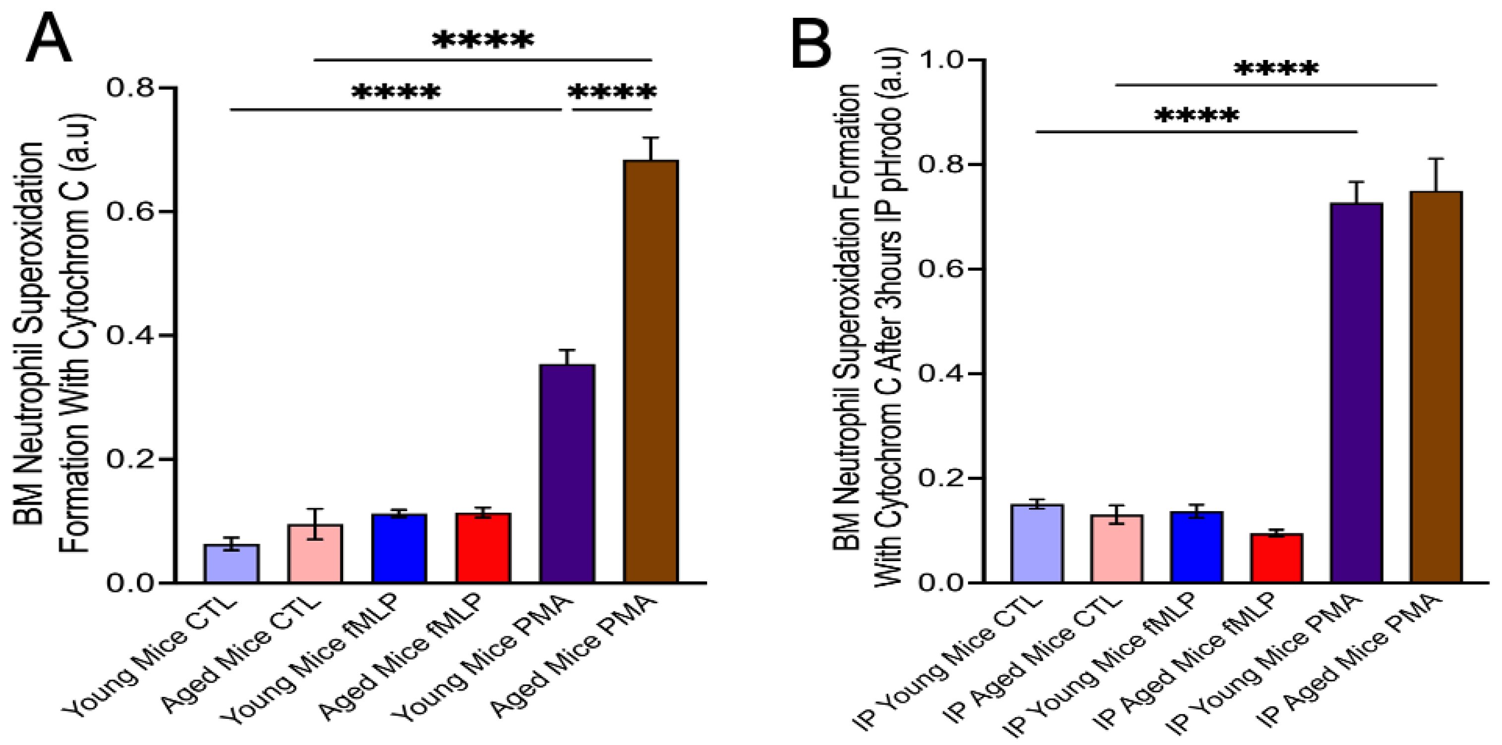 Dentistry 13 00244 g002
