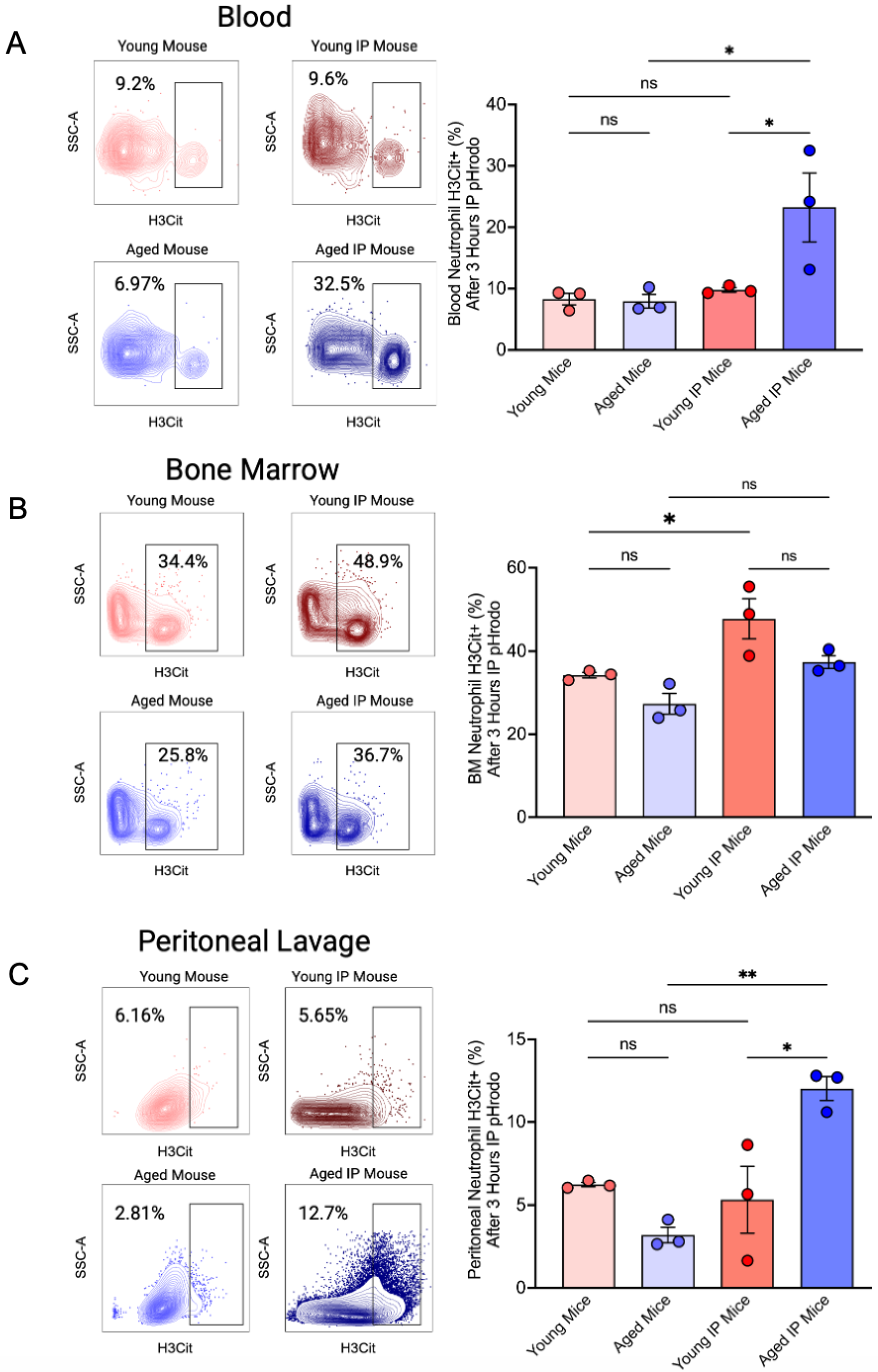 Dentistry 13 00244 g003
