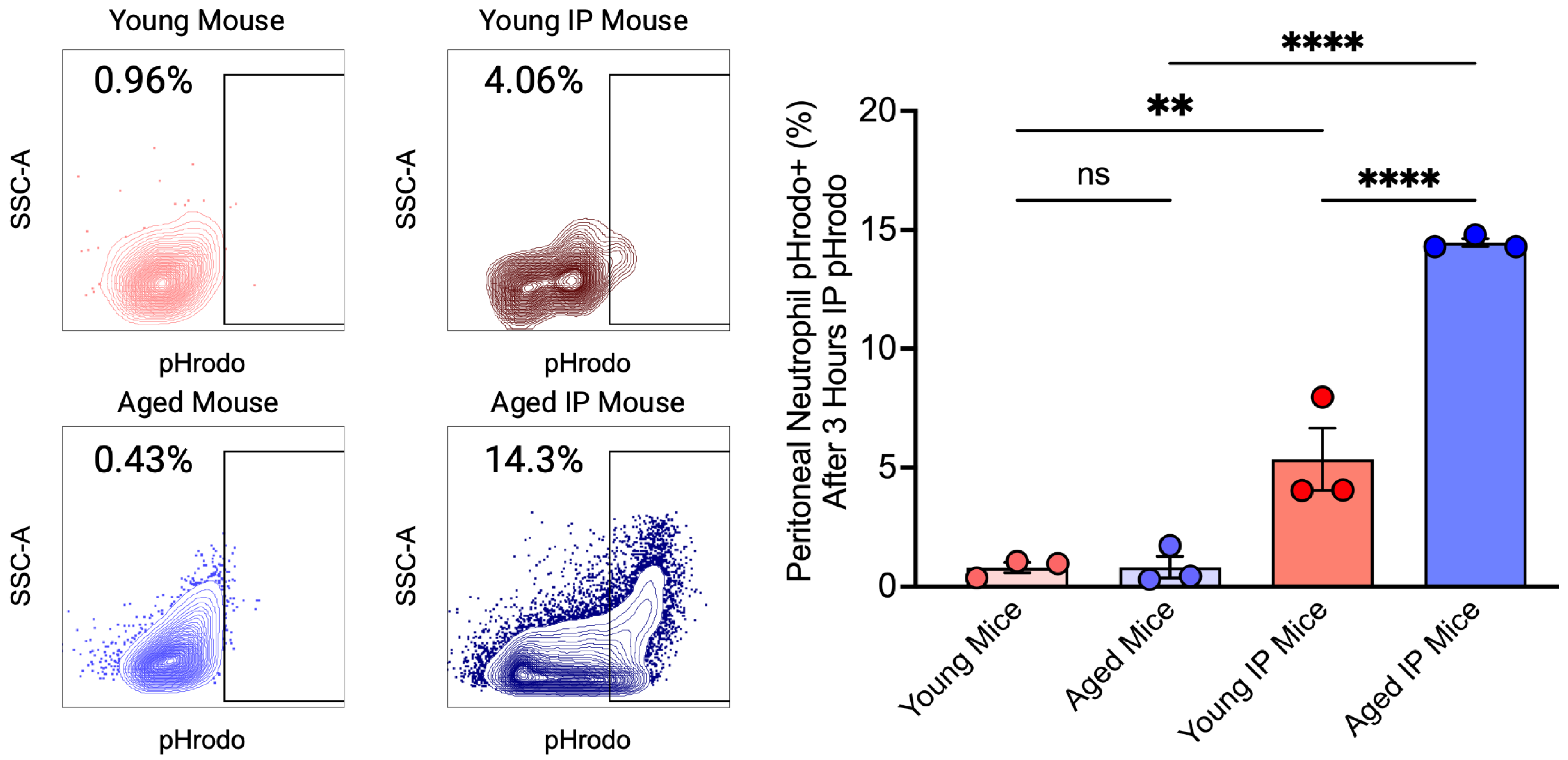 Dentistry 13 00244 g004