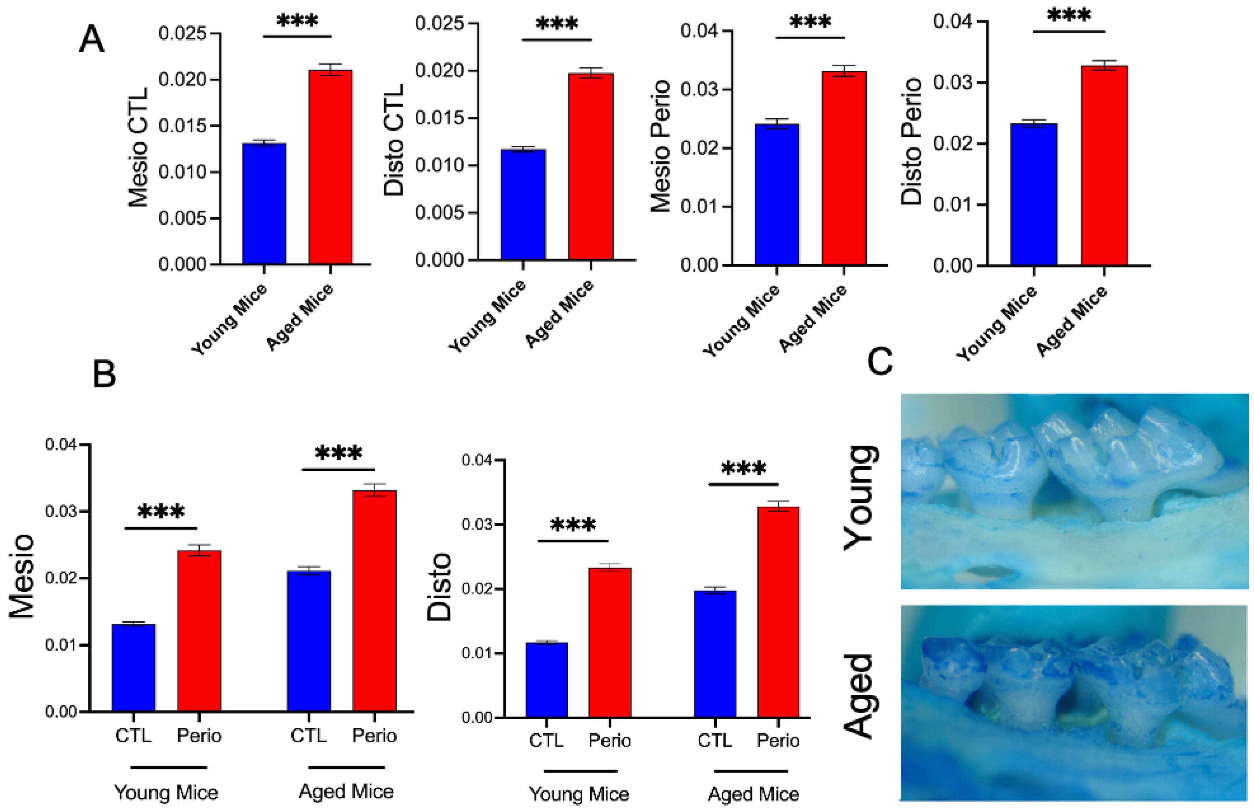 Dentistry 13 00244 g005