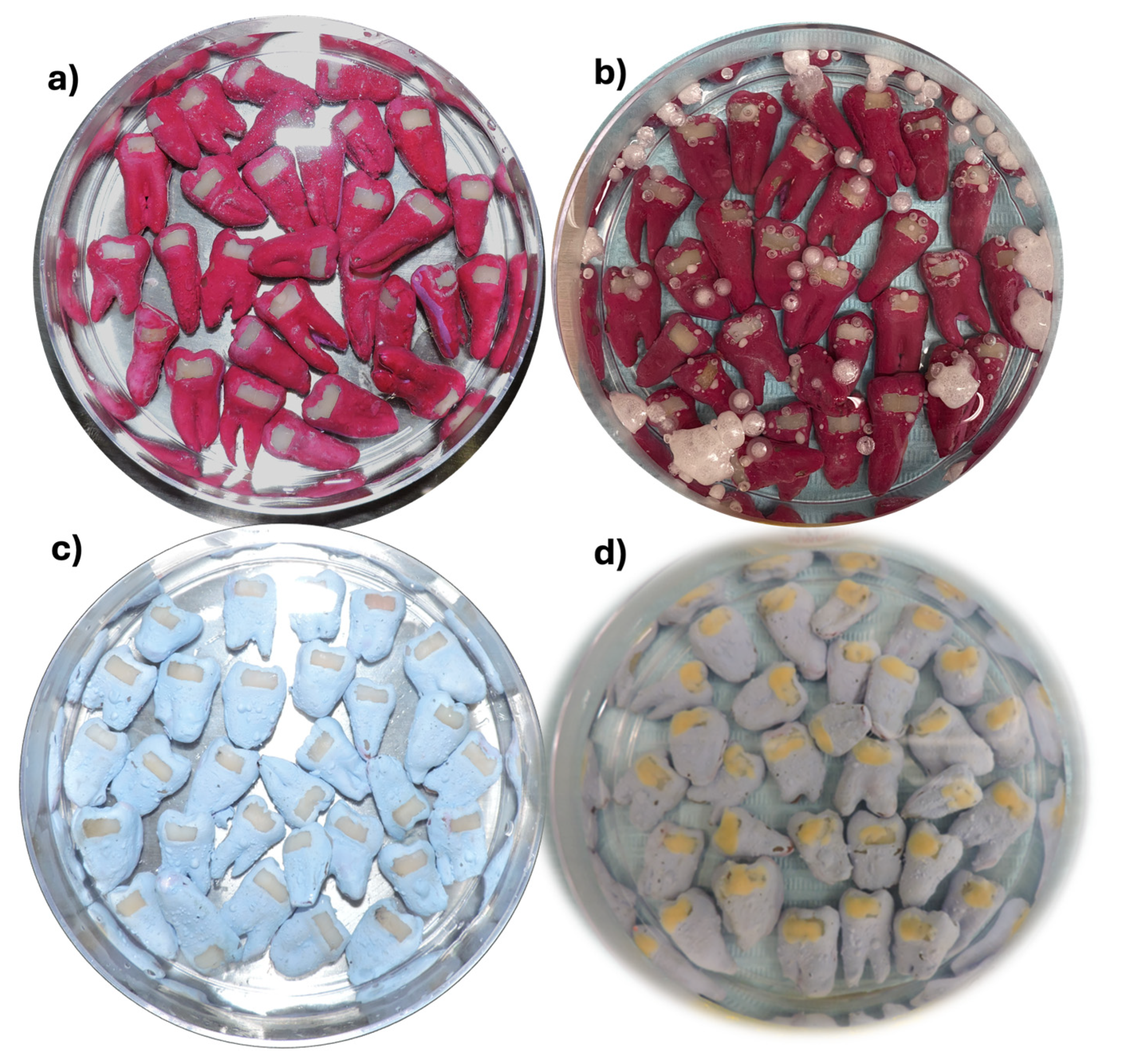 Dentistry 13 00246 g002