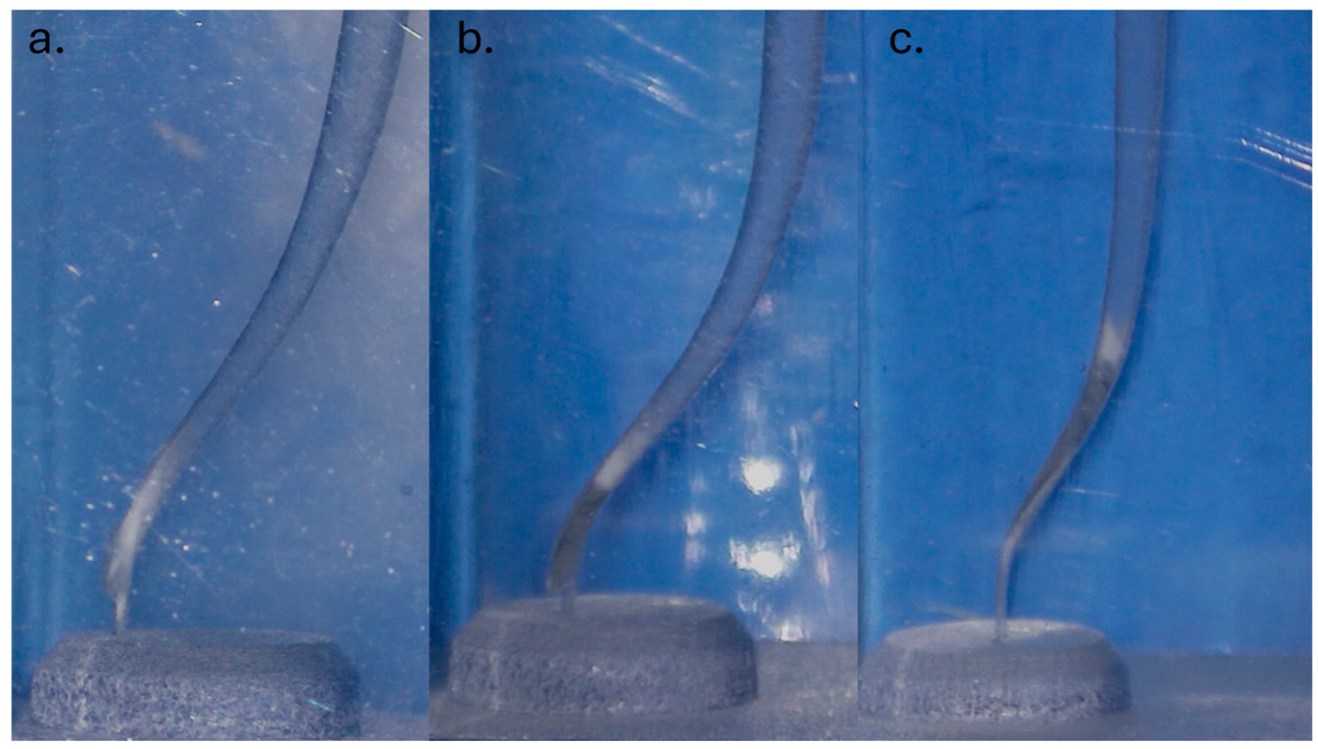 Dentistry 13 00262 g004 Dentistry 13 00262 g004