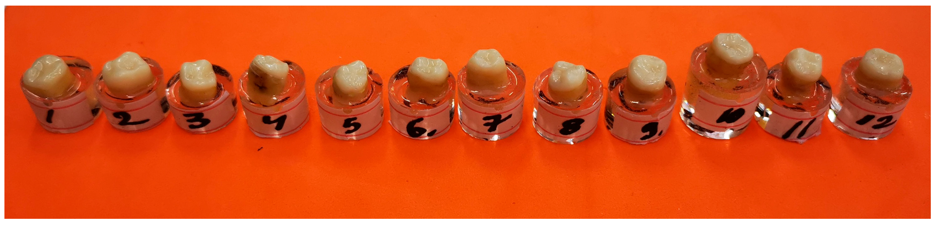 Dentistry 13 00263 g005