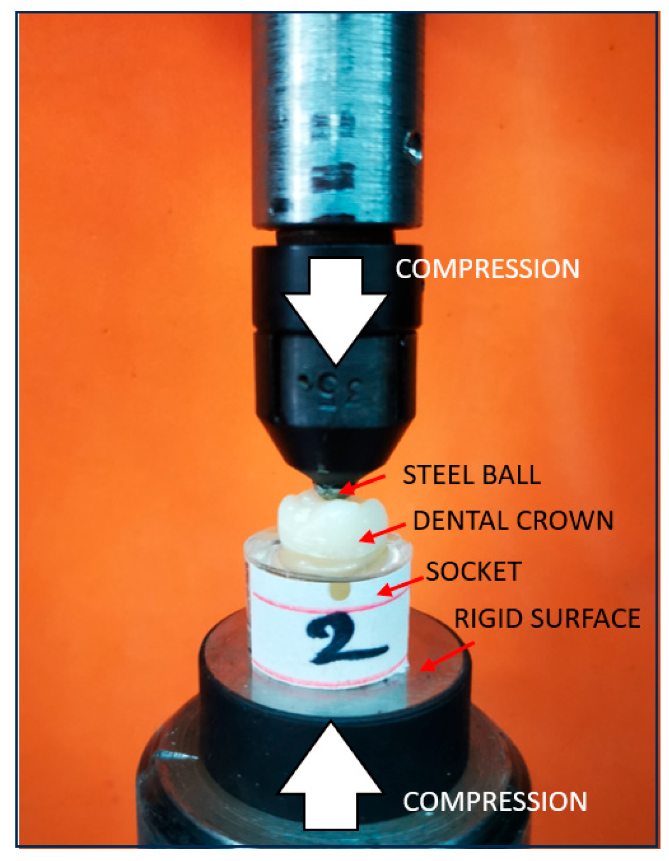 Dentistry 13 00263 g006